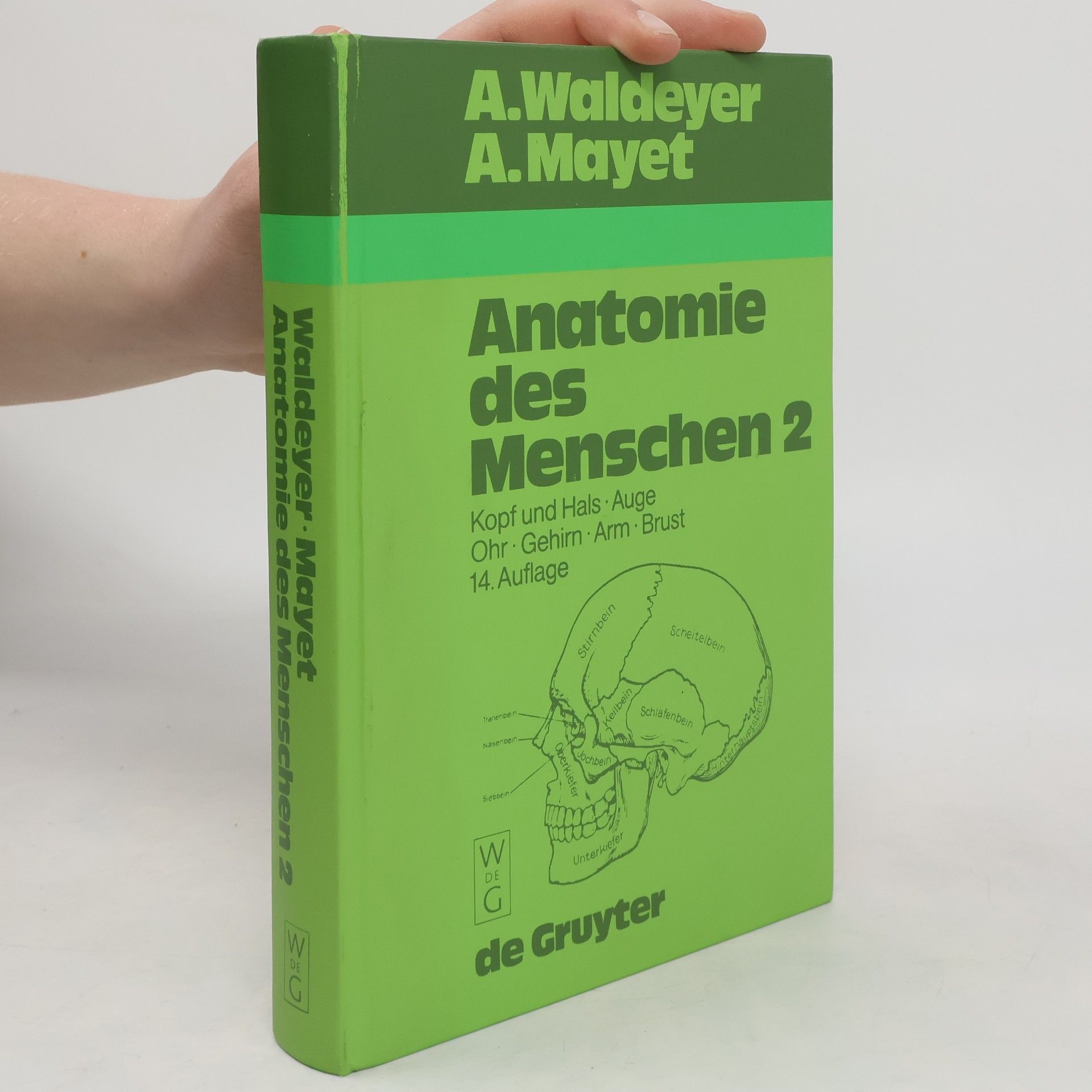 Anton Johannes Waldeyer Anatomie des Menschen für Studierende und Ärzte II