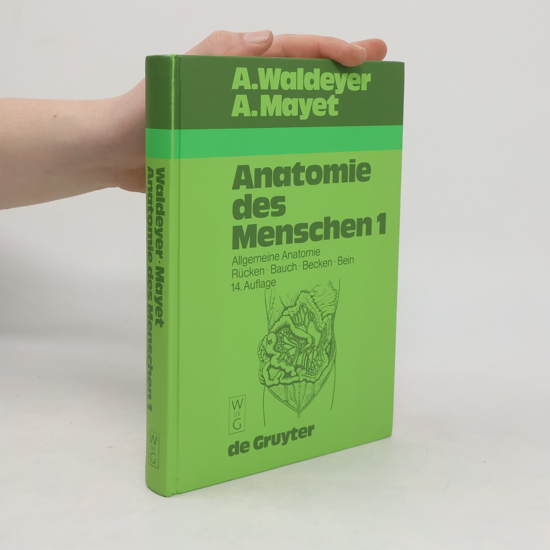 Anton Johannes Waldeyer Anatomie des Menschen für Studierende und Ärzte I
