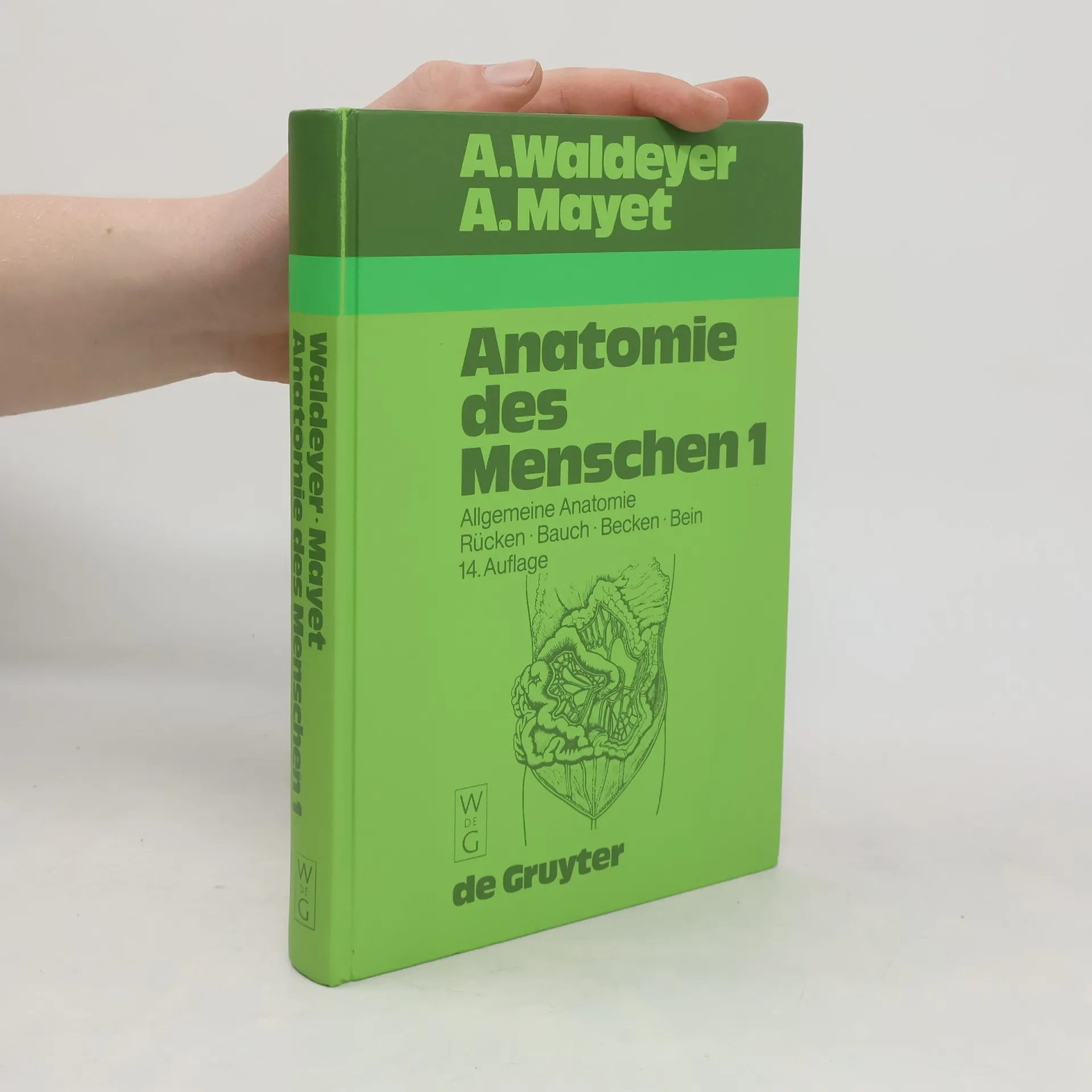 Anatomie des Menschen für Studierende und Ärzte I | Buch | Anton Johannes Waldeyer