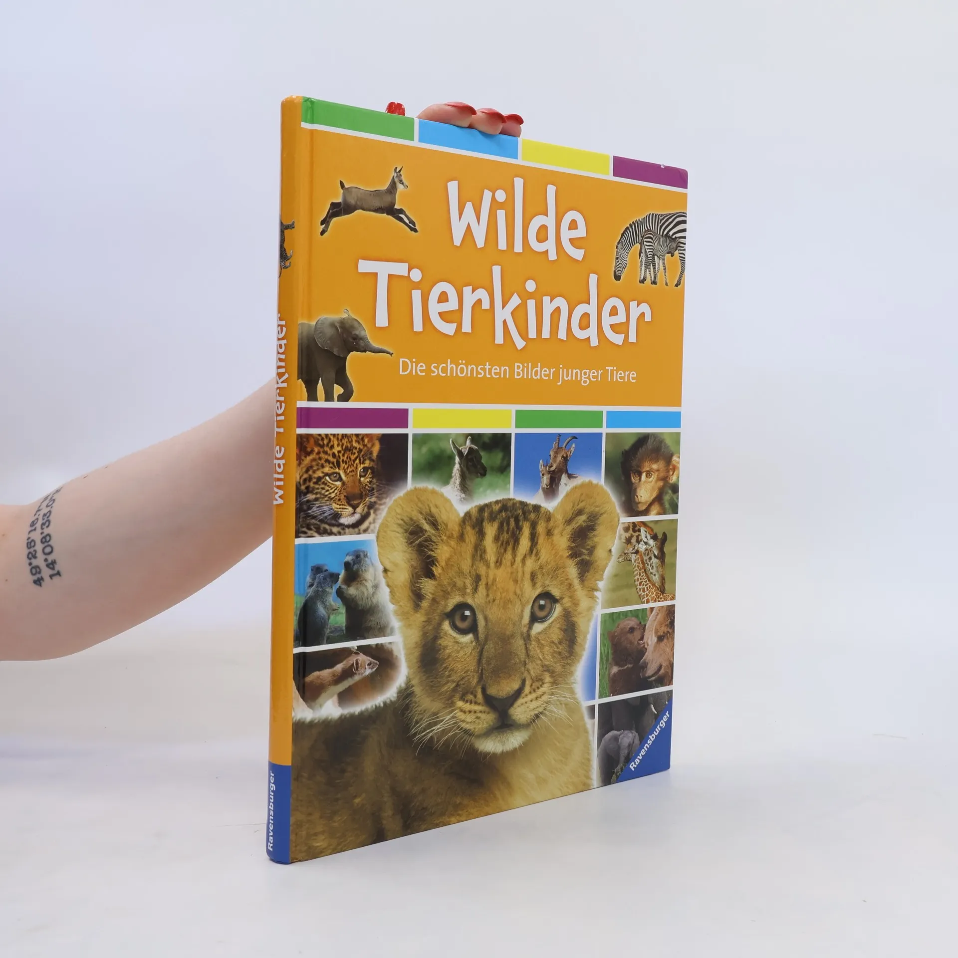 Wilde Tierkinder | Kniha | pevná | Carine Mayo | DE
