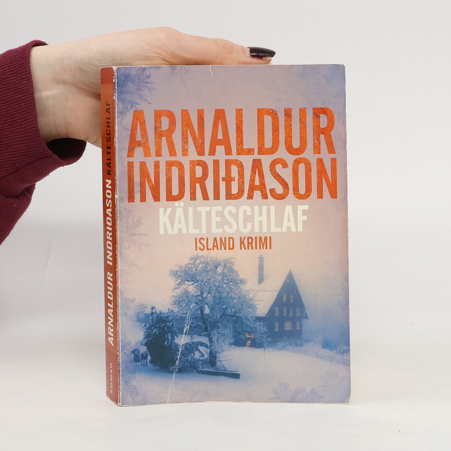 Arnaldur Indriðason Kälteschlaf. Island Krimi