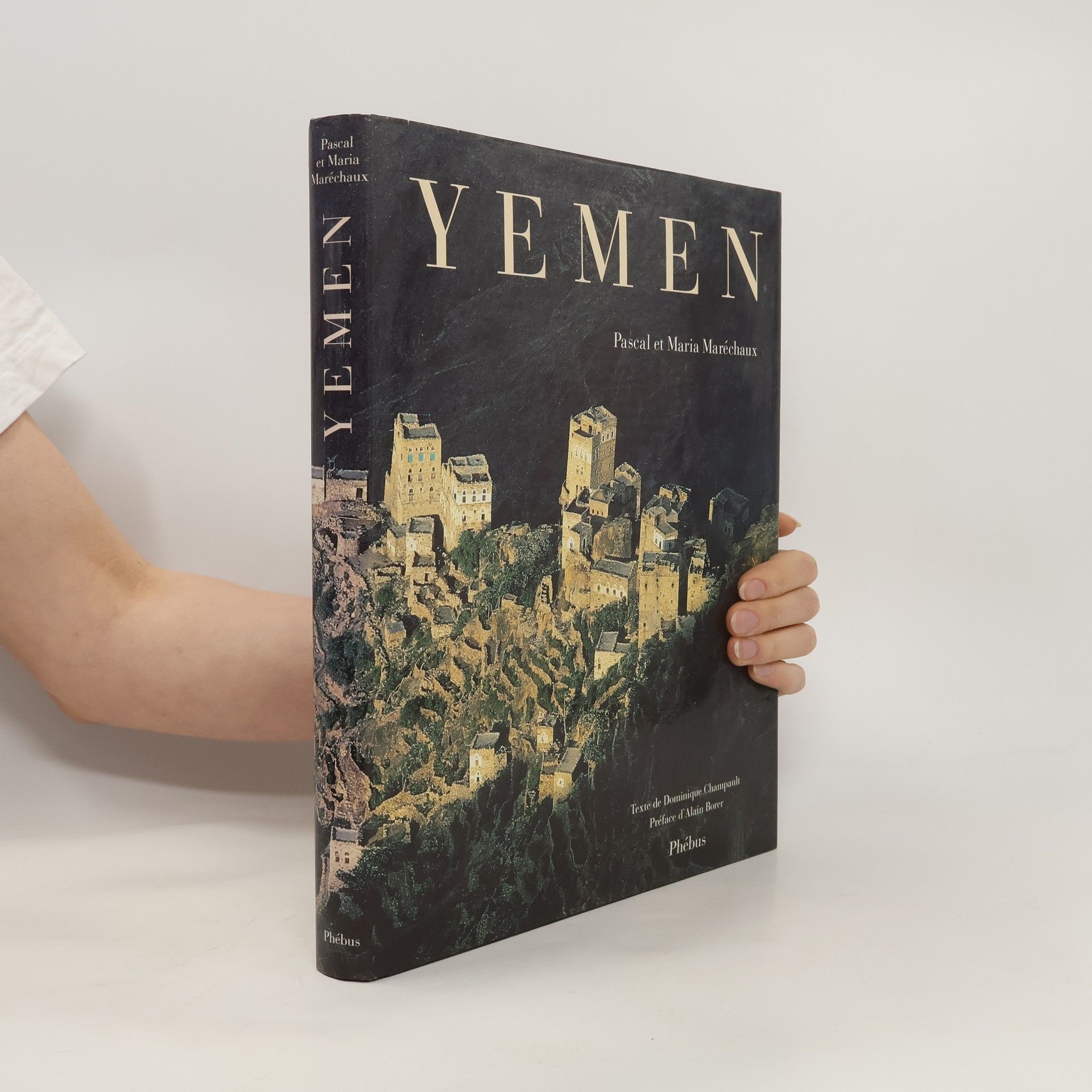 Pascal Maréchaux Yemen