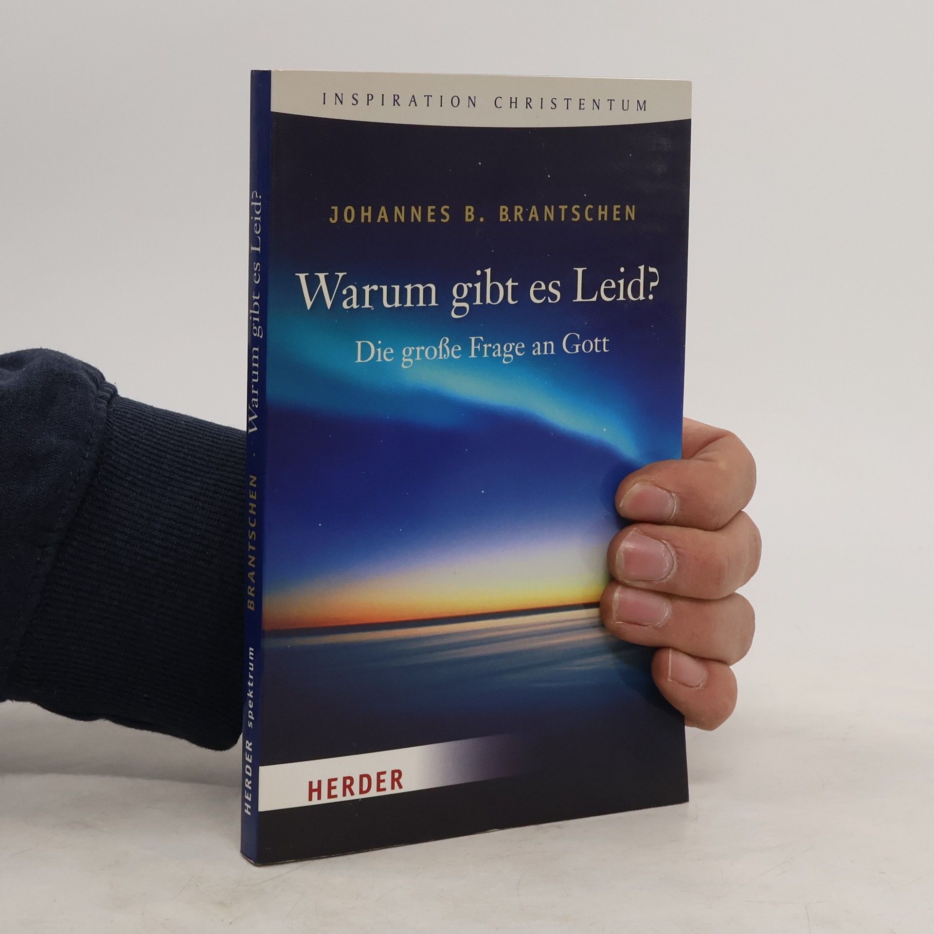 Johannes B. Brantschen Warum gibt es Leid?. Die große Frage an Gott