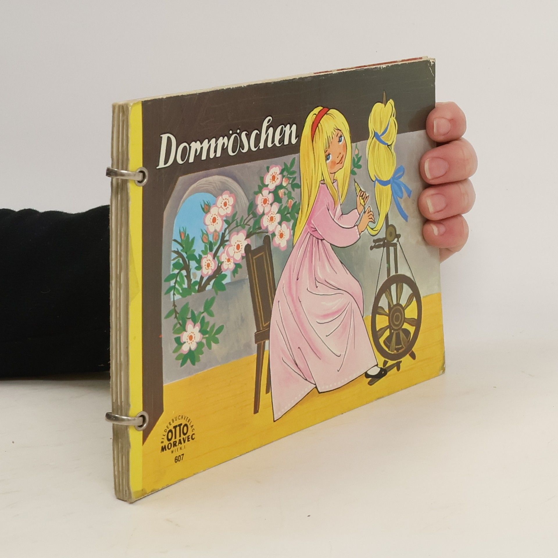 kolektiv Dornröschen