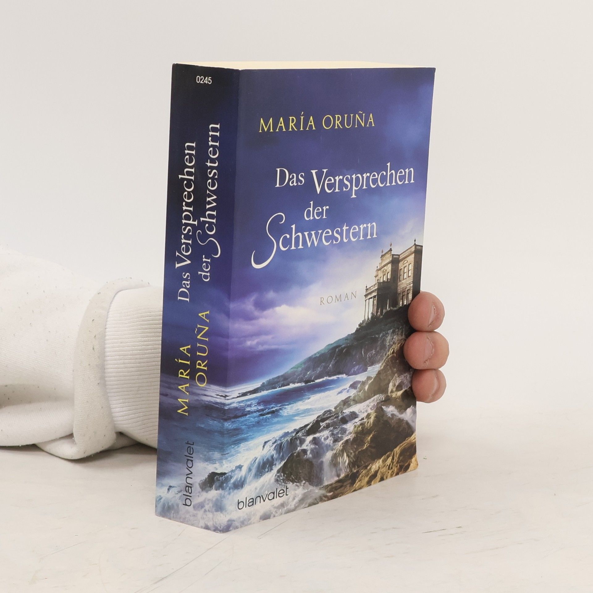 María Oruña Das Versprechen der Schwestern