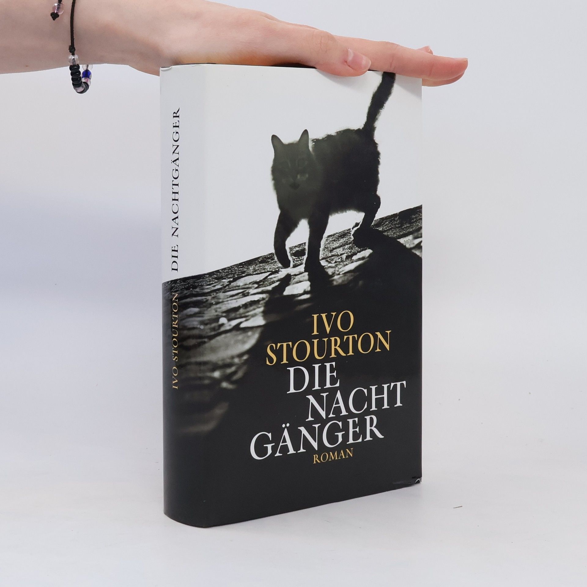 Ivo Stourton Die Nacht Gänger