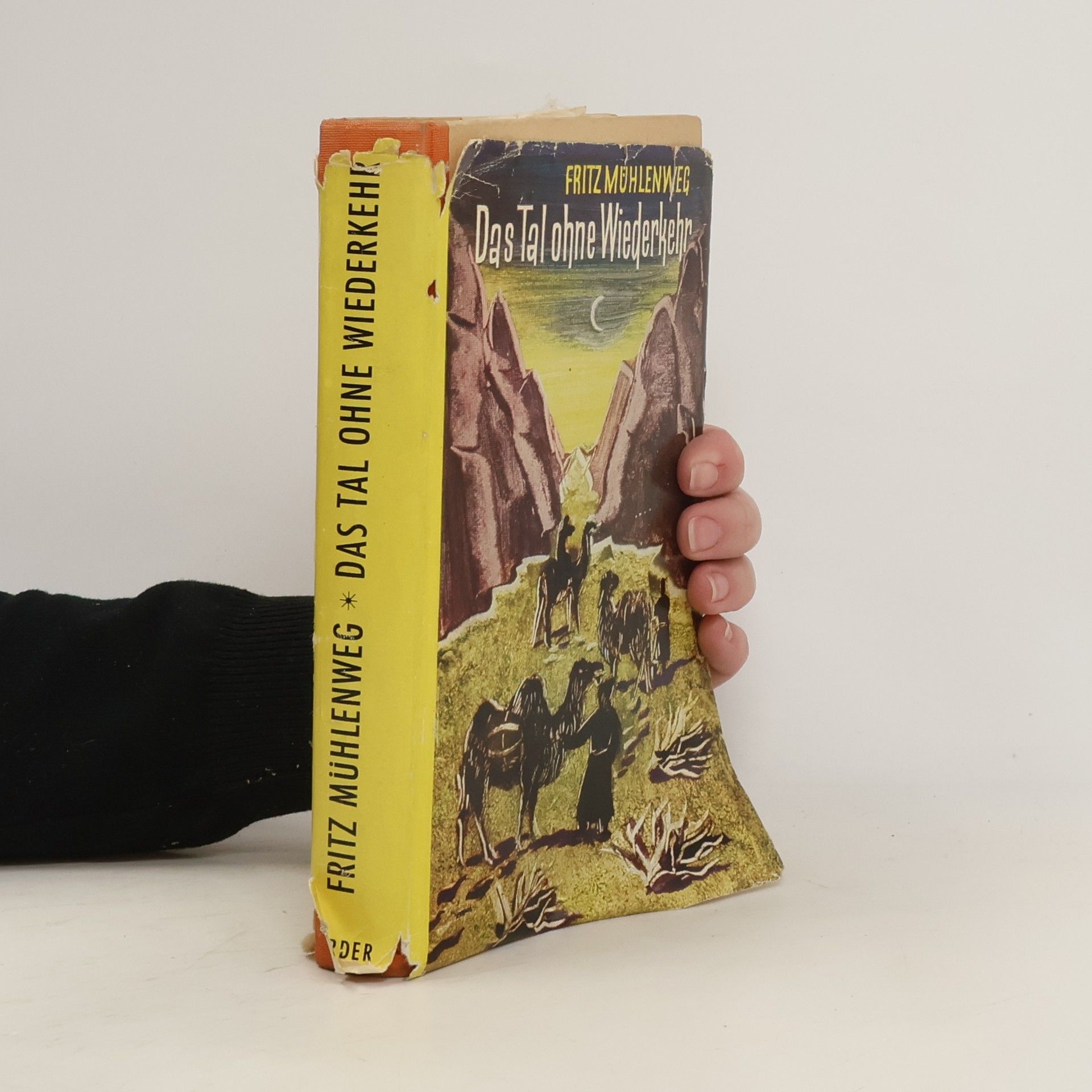 Fritz Mühlenweg Das tal ohne Wiederkehr