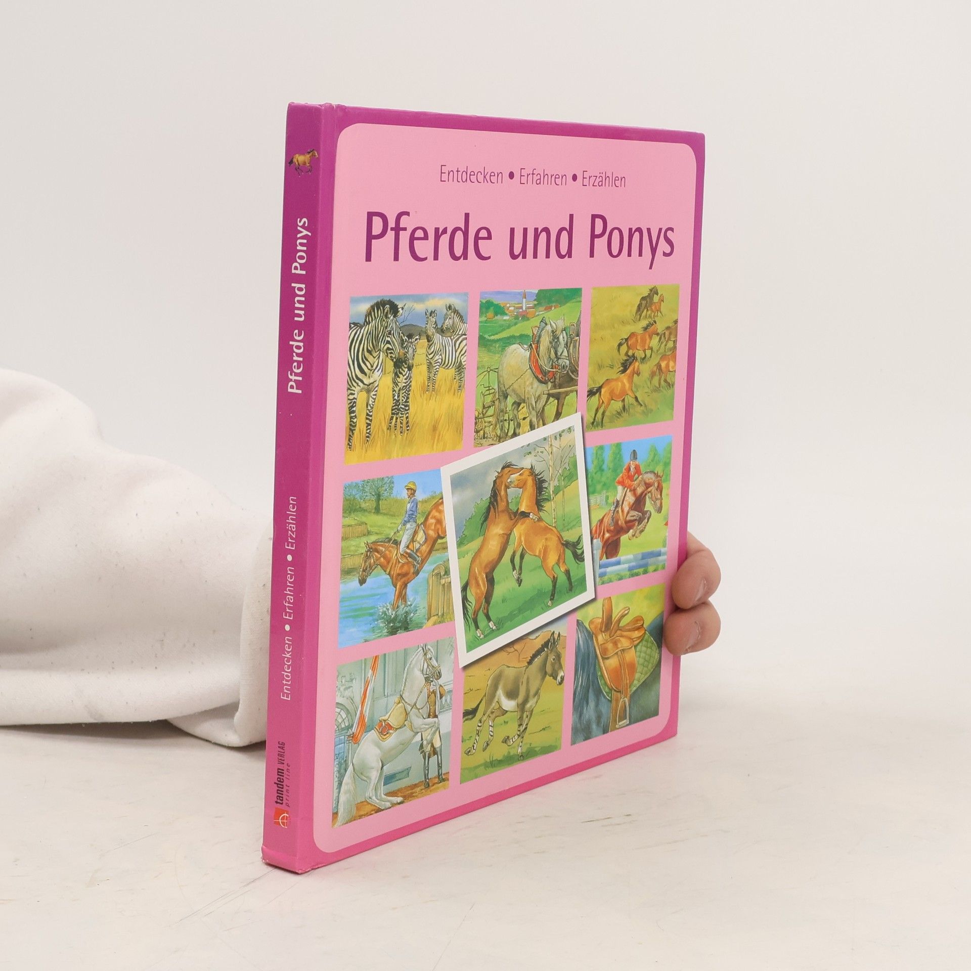 Autorenkollektiv Kinderwissen: Pferde und Ponys