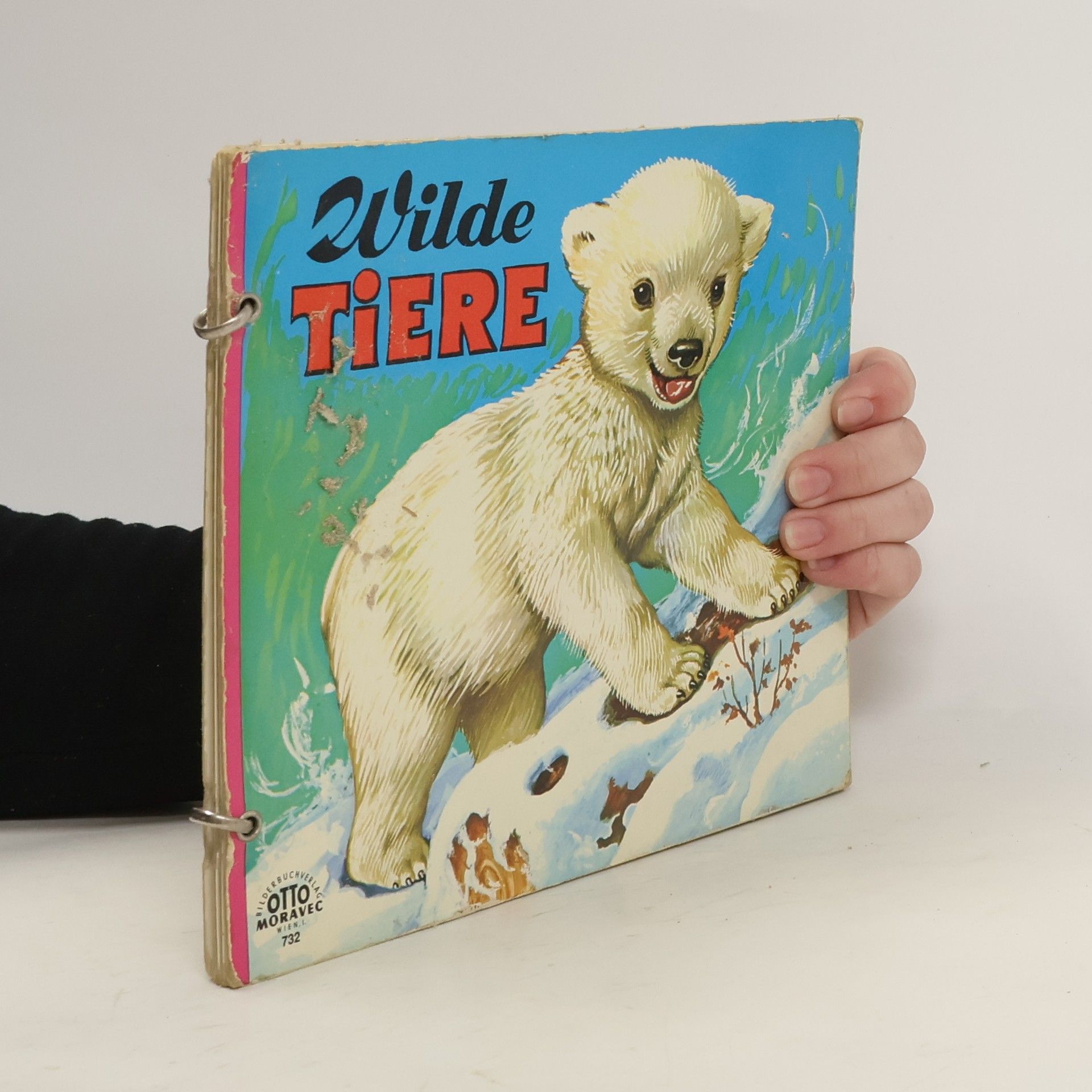 kolektiv Wilde Tiere