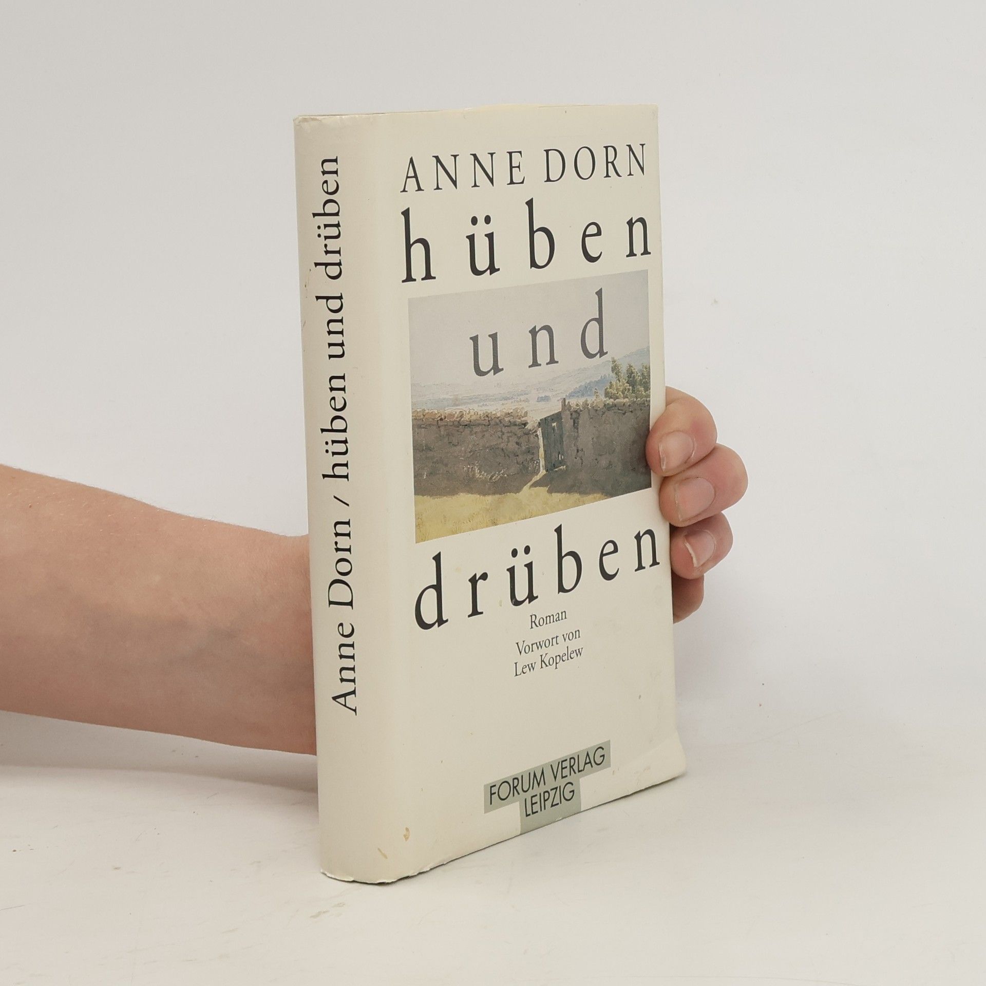 Anne Dorn Hüben und drüben