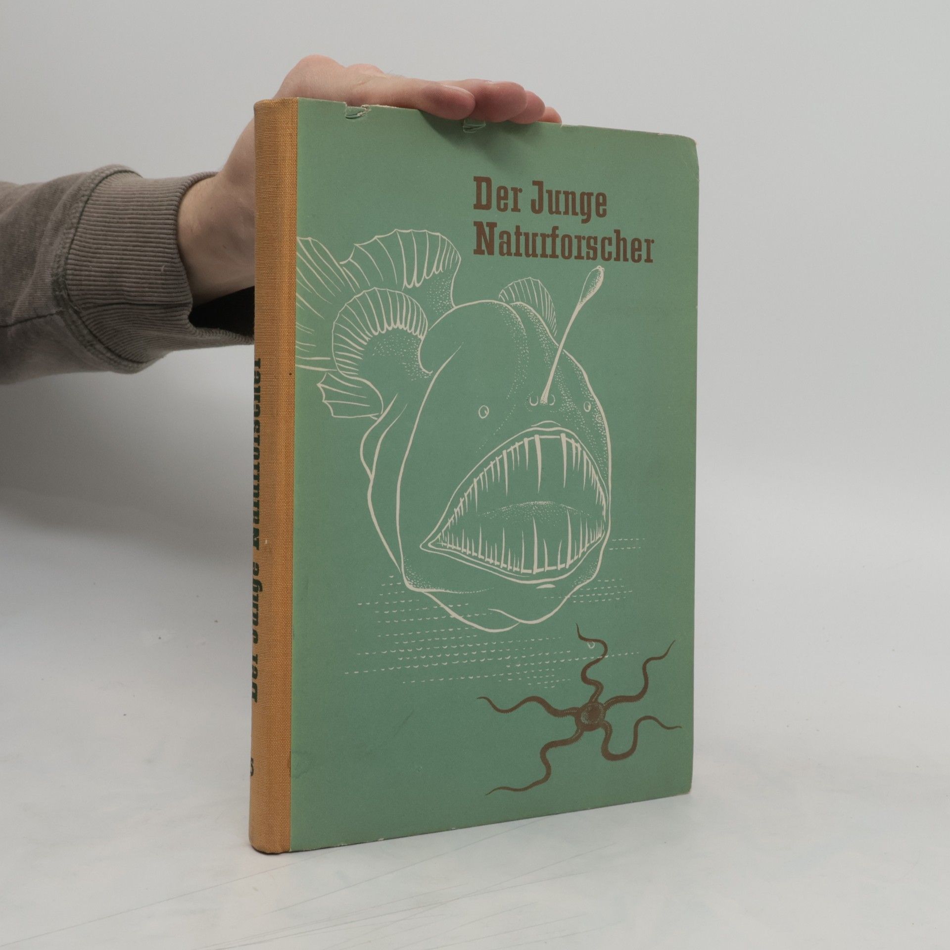 Autorenkollektiv Der Junge Naturforscher 5