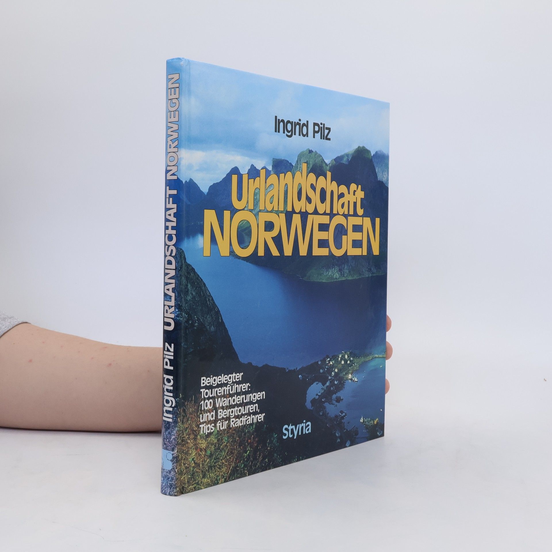 Ingrid Pilz Urlandschaft Norwegen