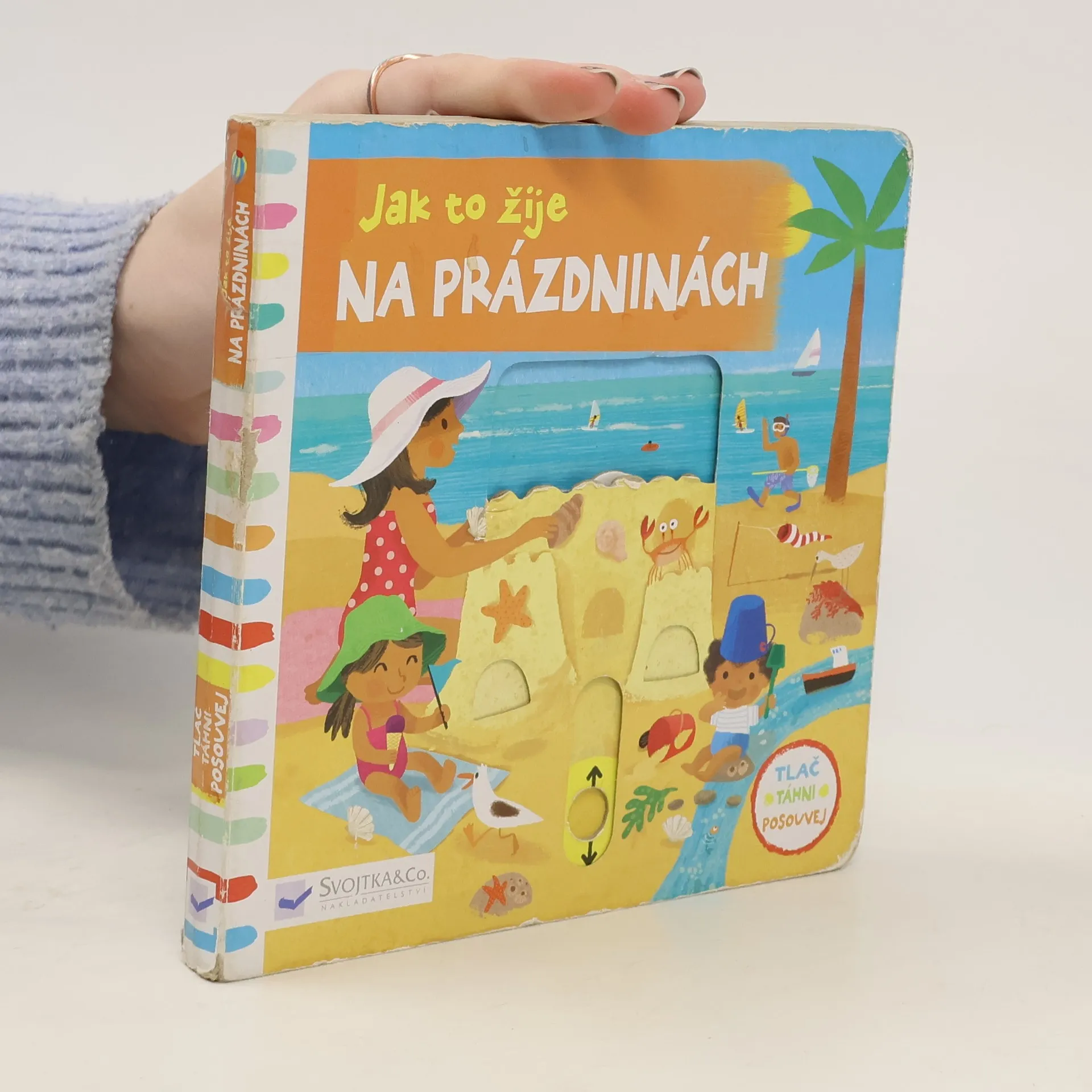 Na prázdninách | Kniha | Sébastien Braun | CS