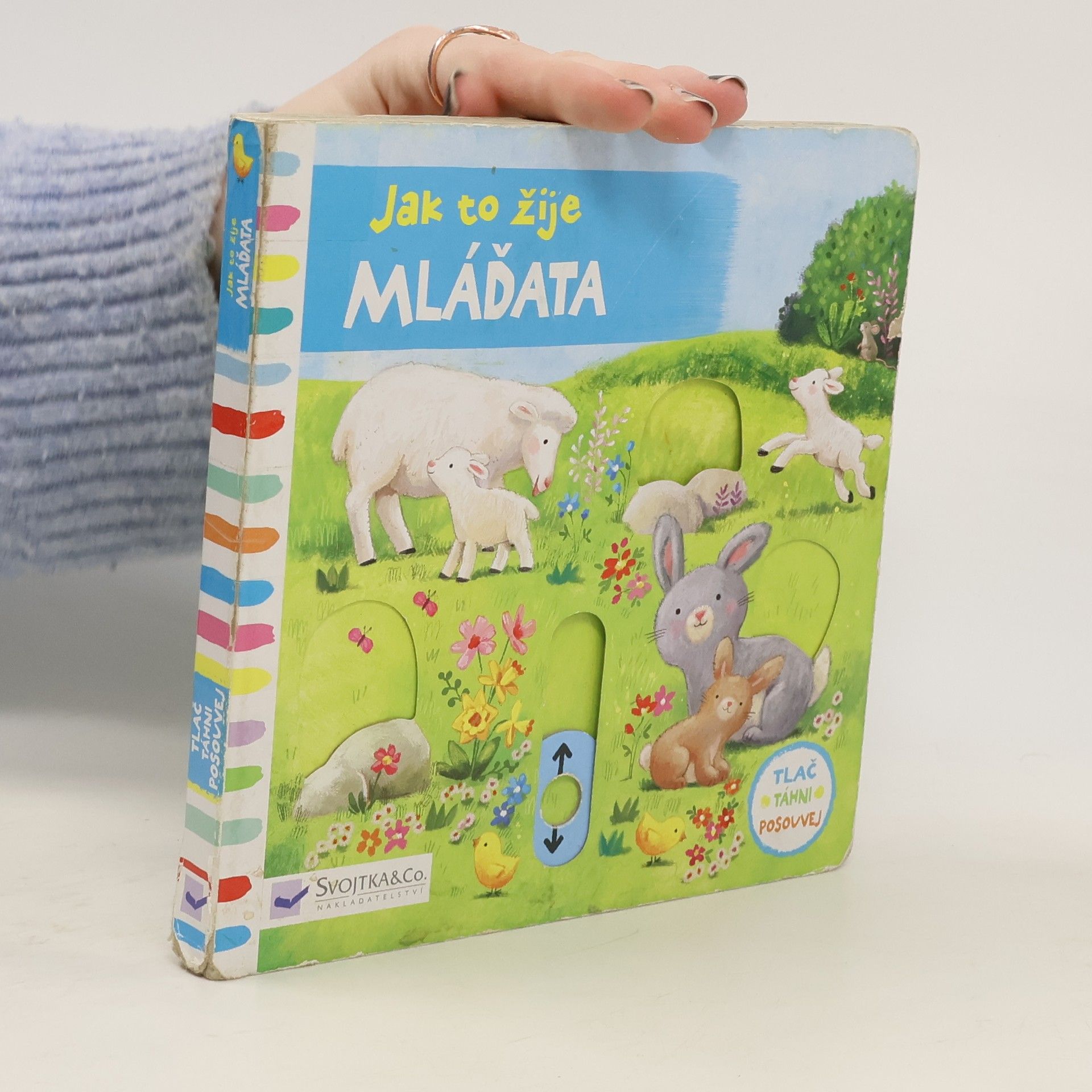 Ag Jatkowska Jak to žije mláďata