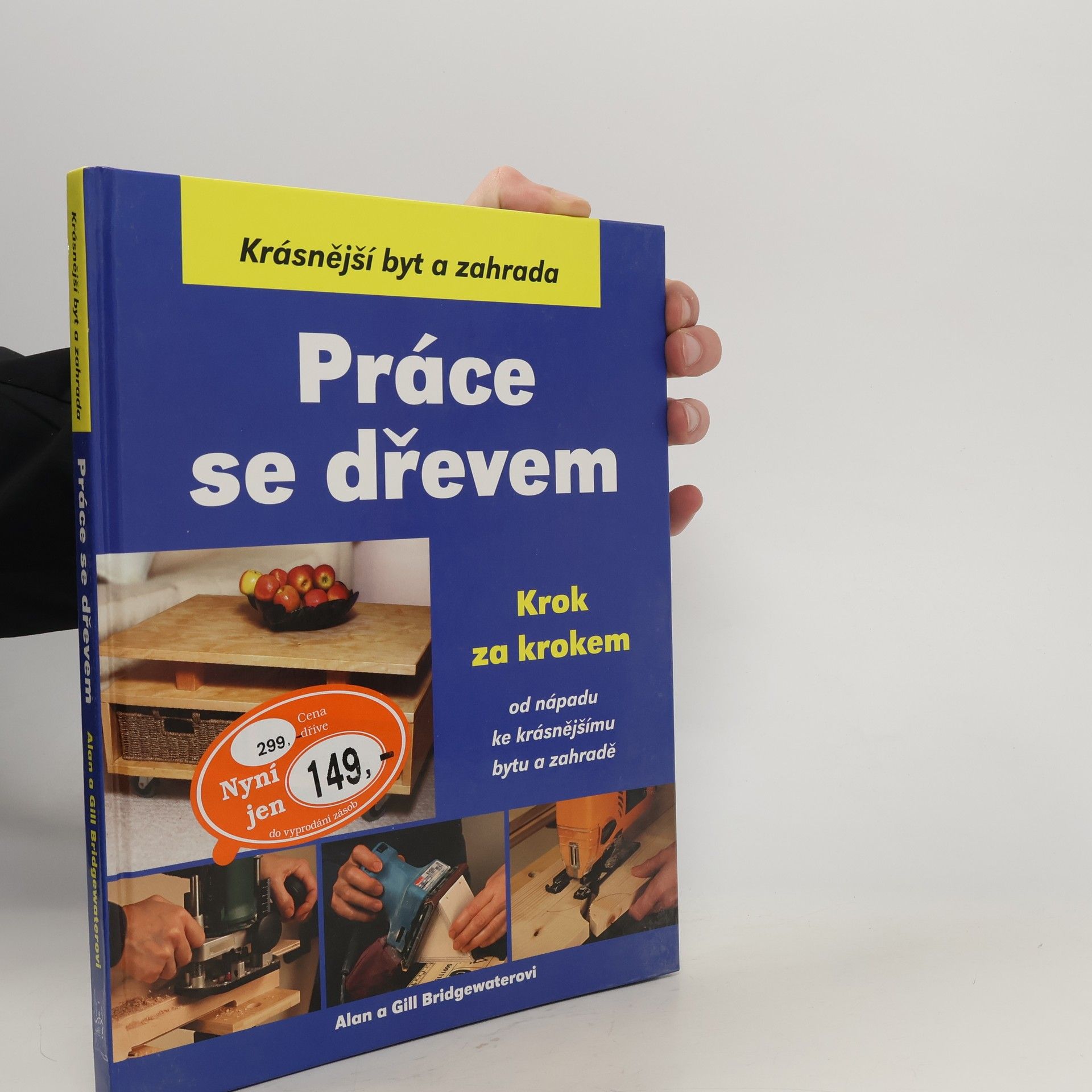 Alan Bridgewater Práce se dřevem krok za krokem