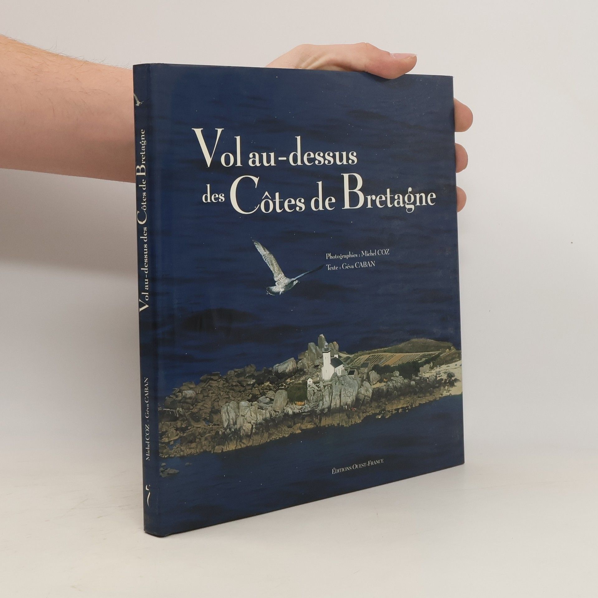 Michel Coz Vol au-dessus des Côtes de Bretagne