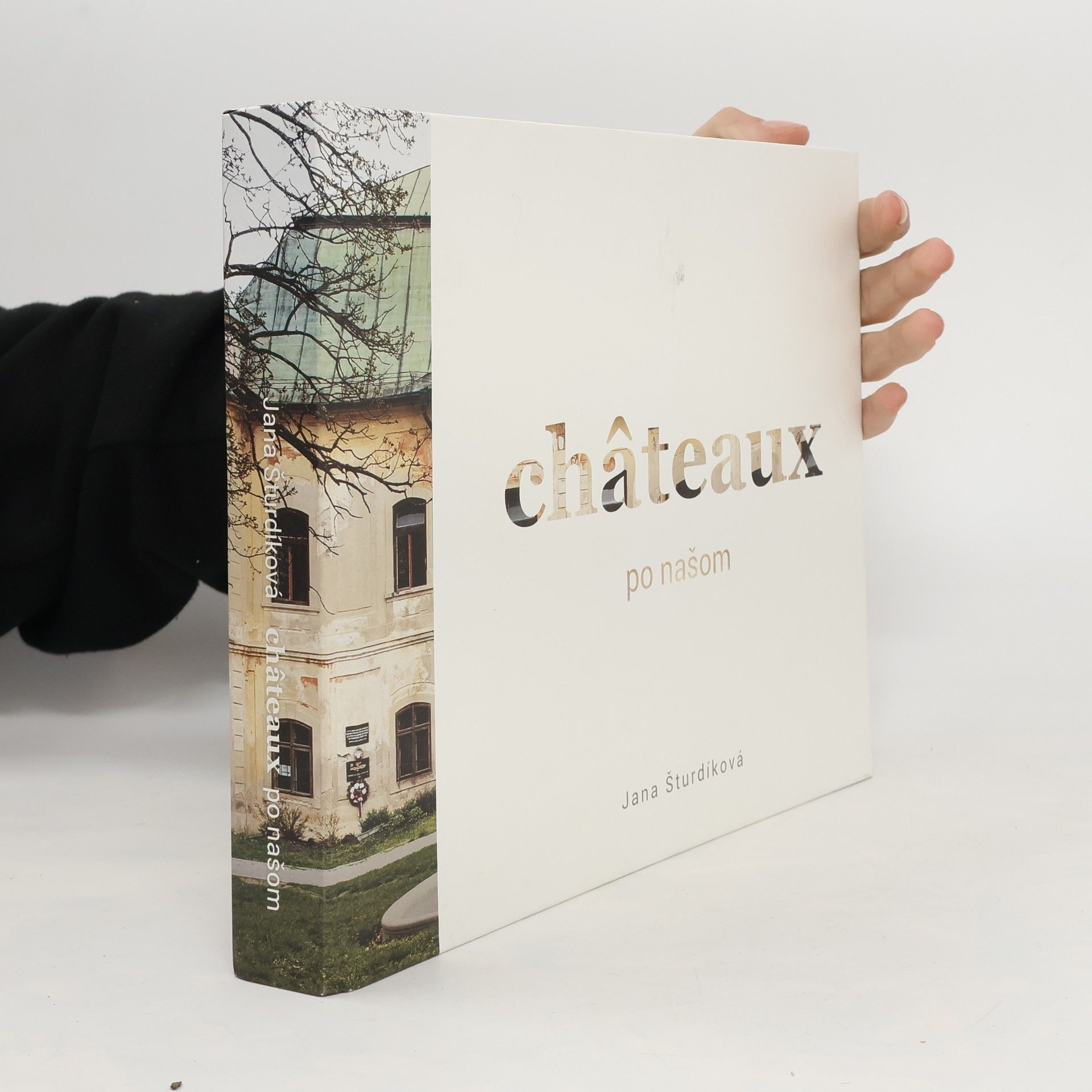 Michaela Pašteková Châteaux po našom