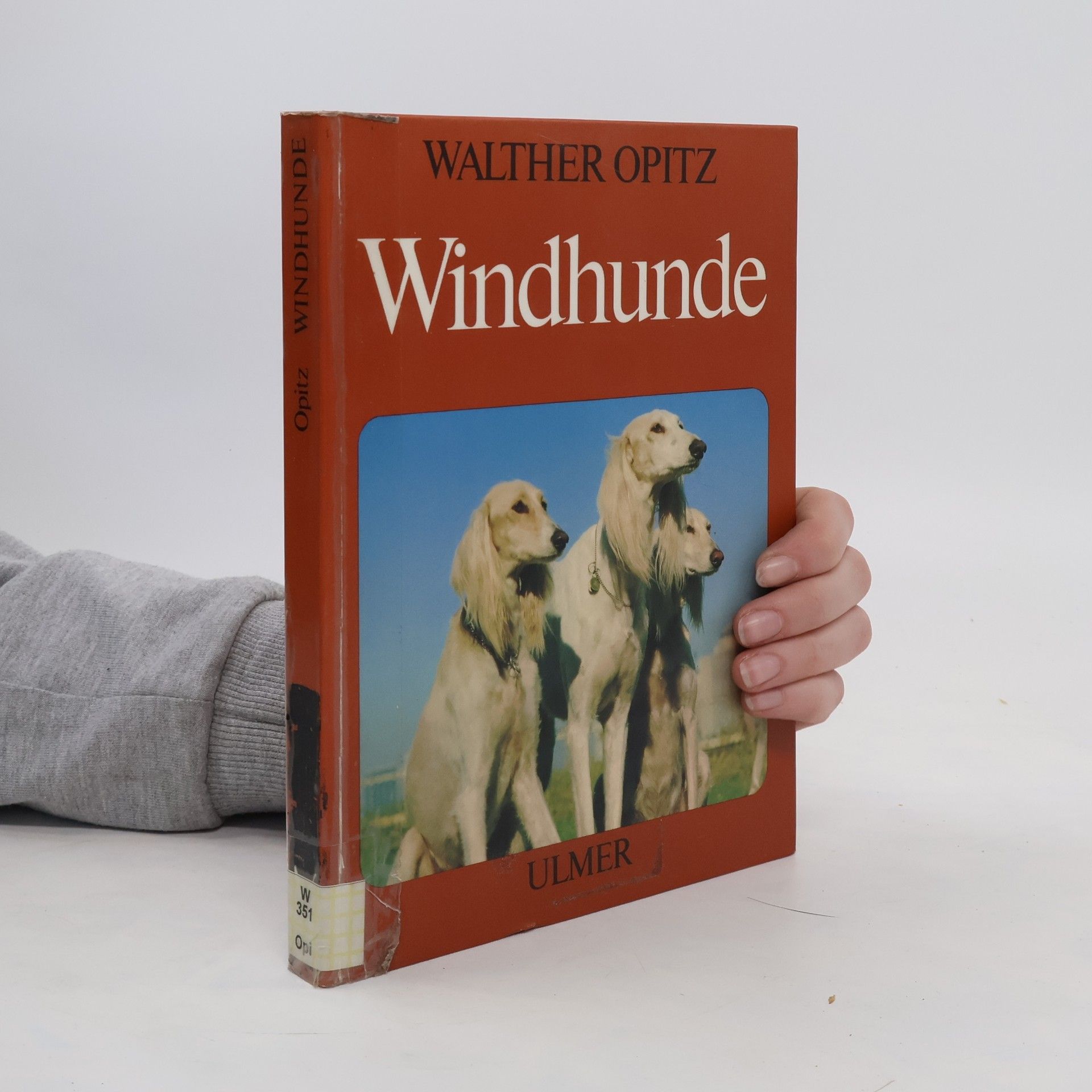 Walther Opitz Windhunde
