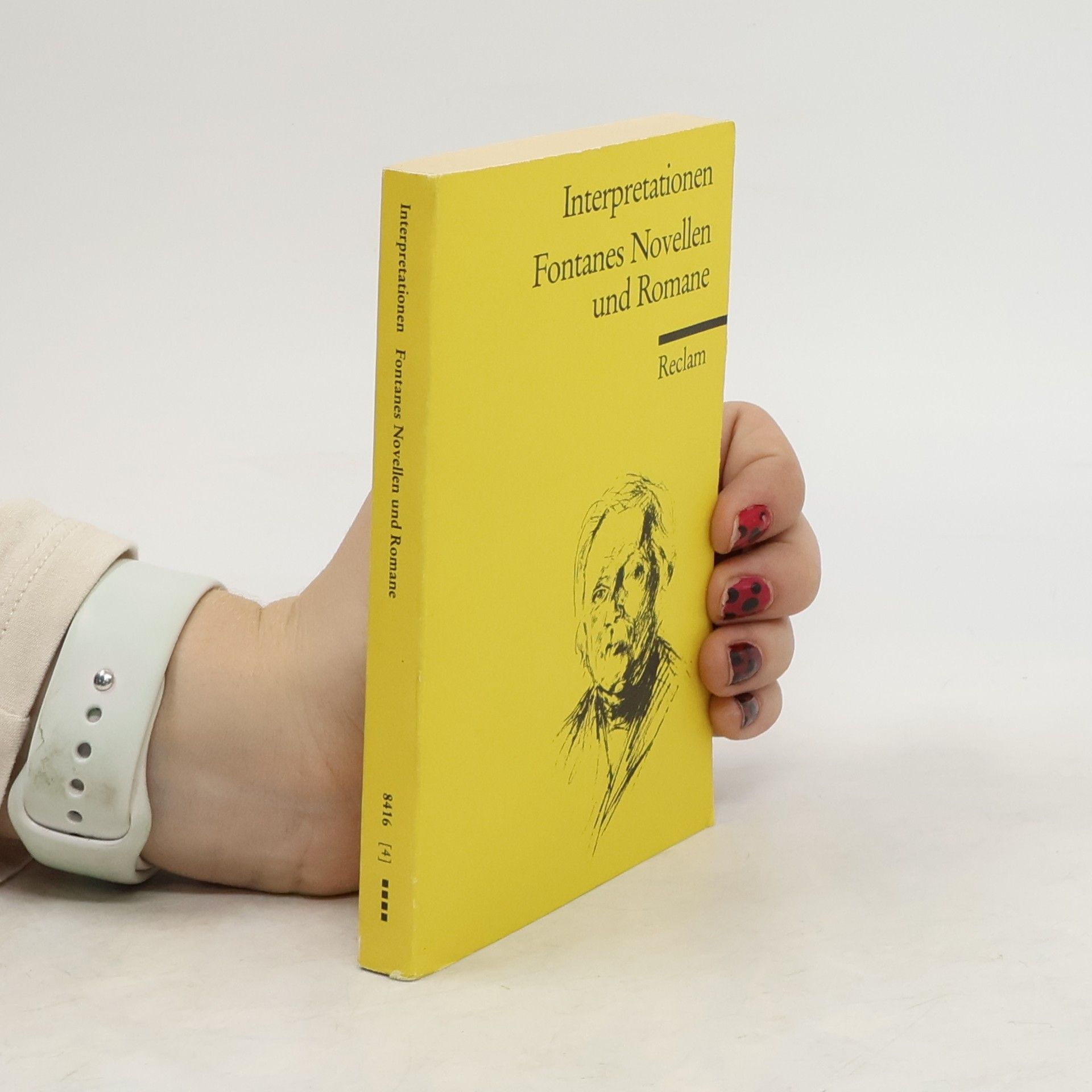 Christian Grawe Fontanes Novellen und Romane