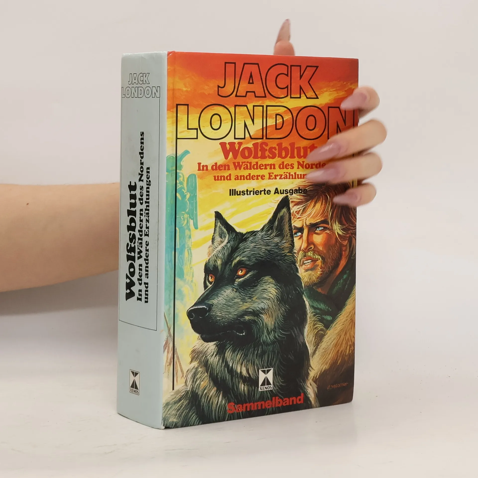 Wolfsblut und In den Wäldern des Nordens | Buch | Jack London