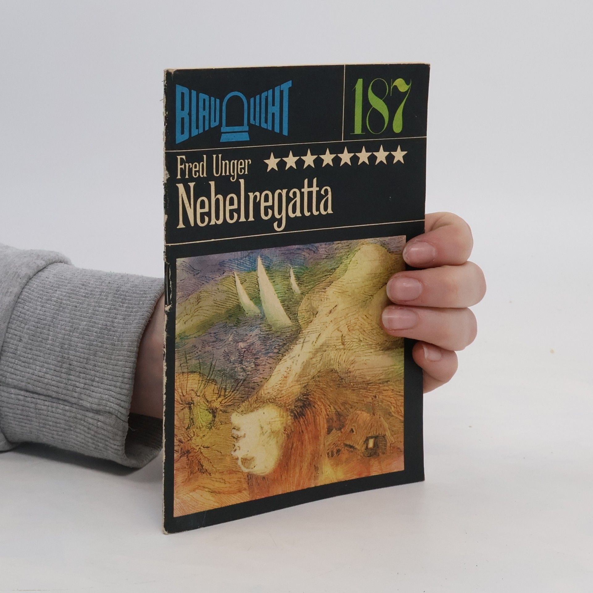 Fred Unger Nebelregatta