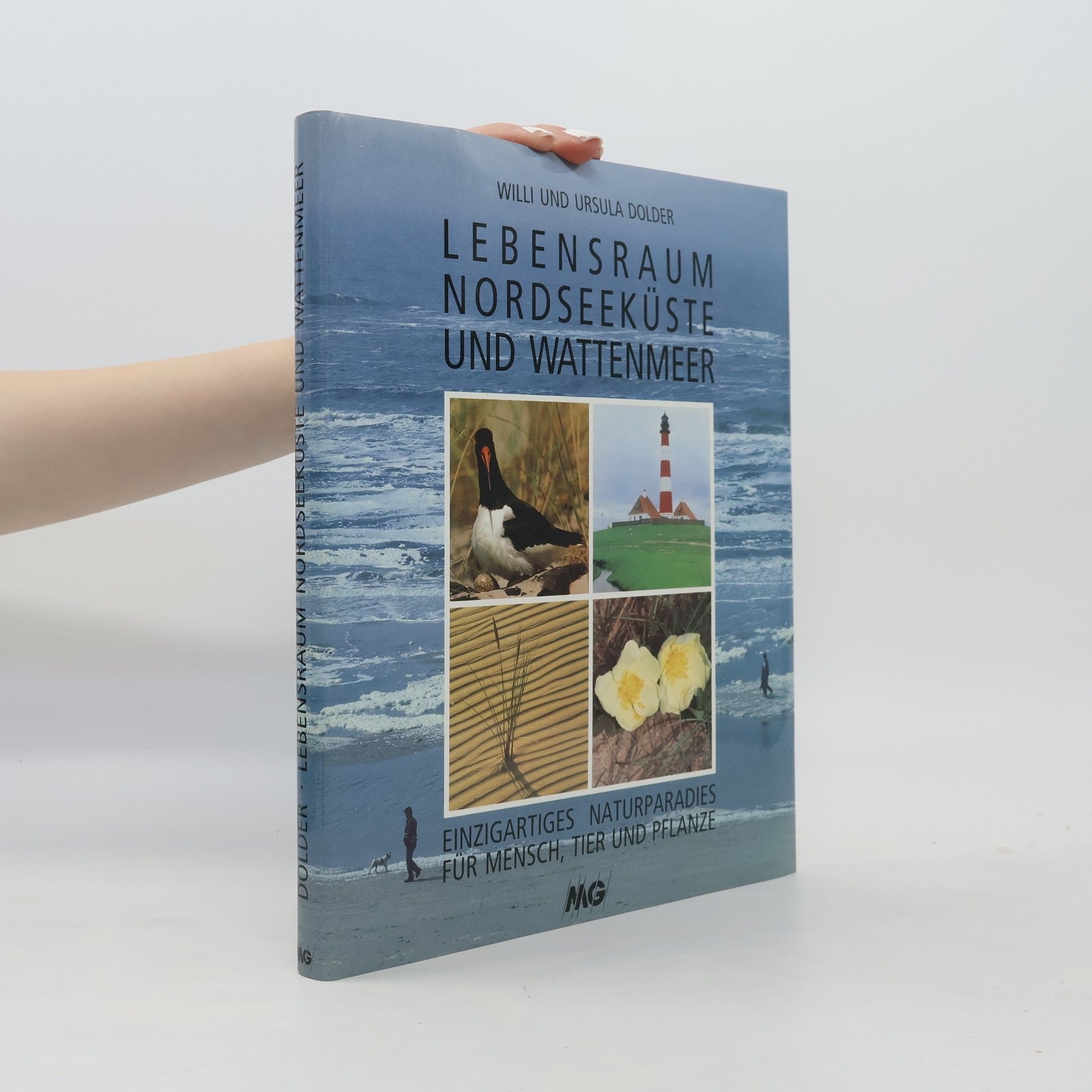 Ursula Dolder Lebensraum Nordseeküste und Wattenmeer