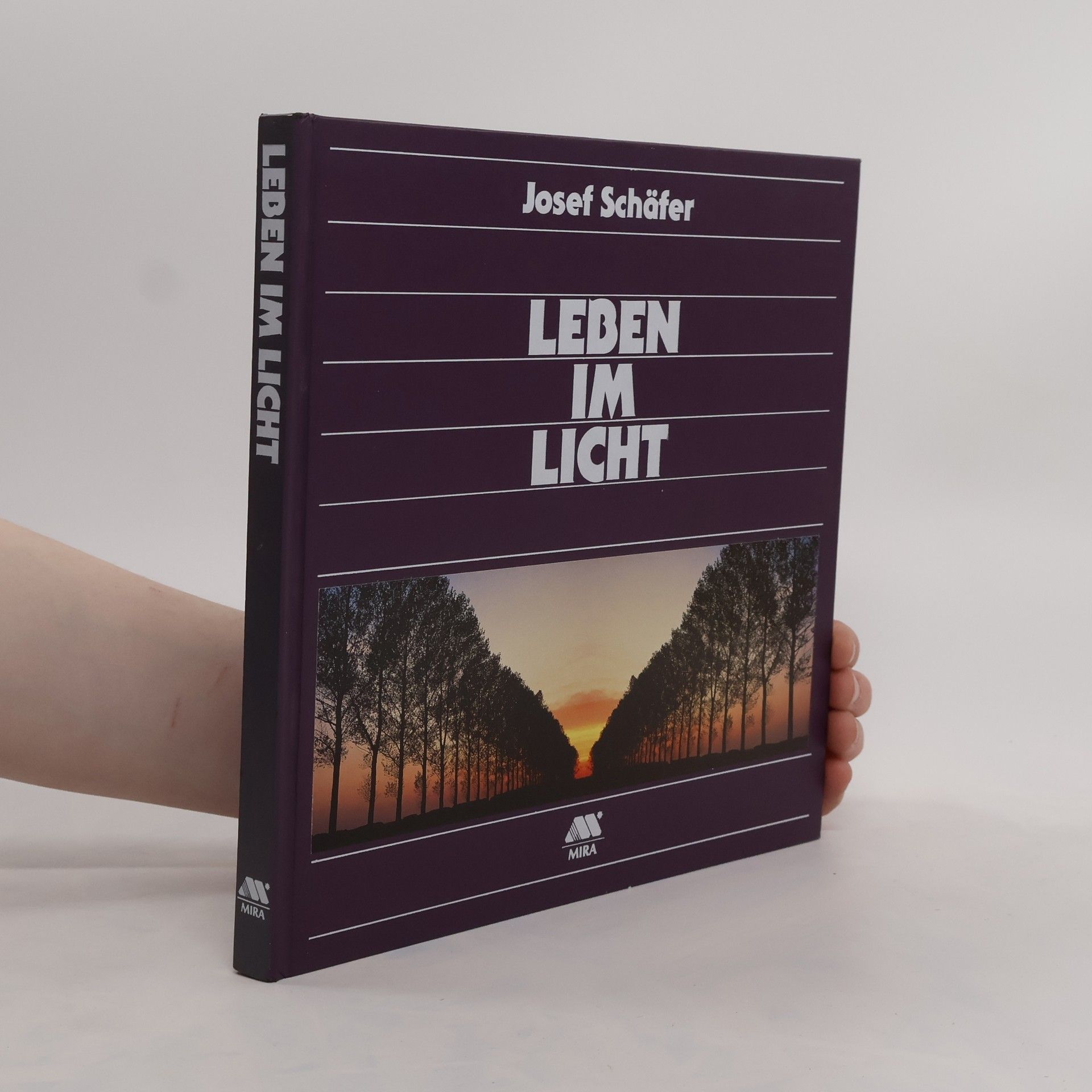 Josef Shäfer Leben im Licht