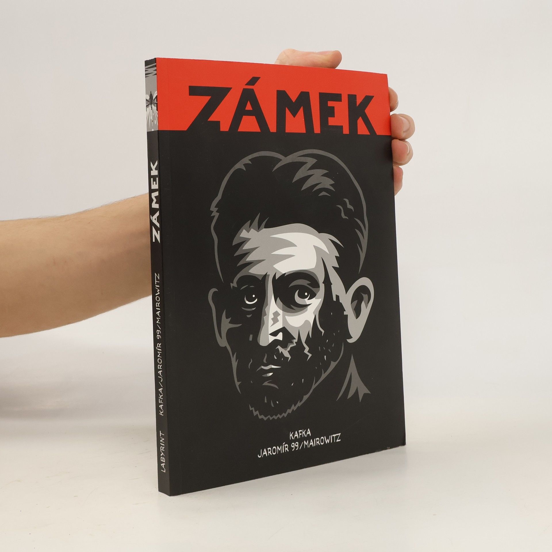 David Zane Mairowitz Zámek