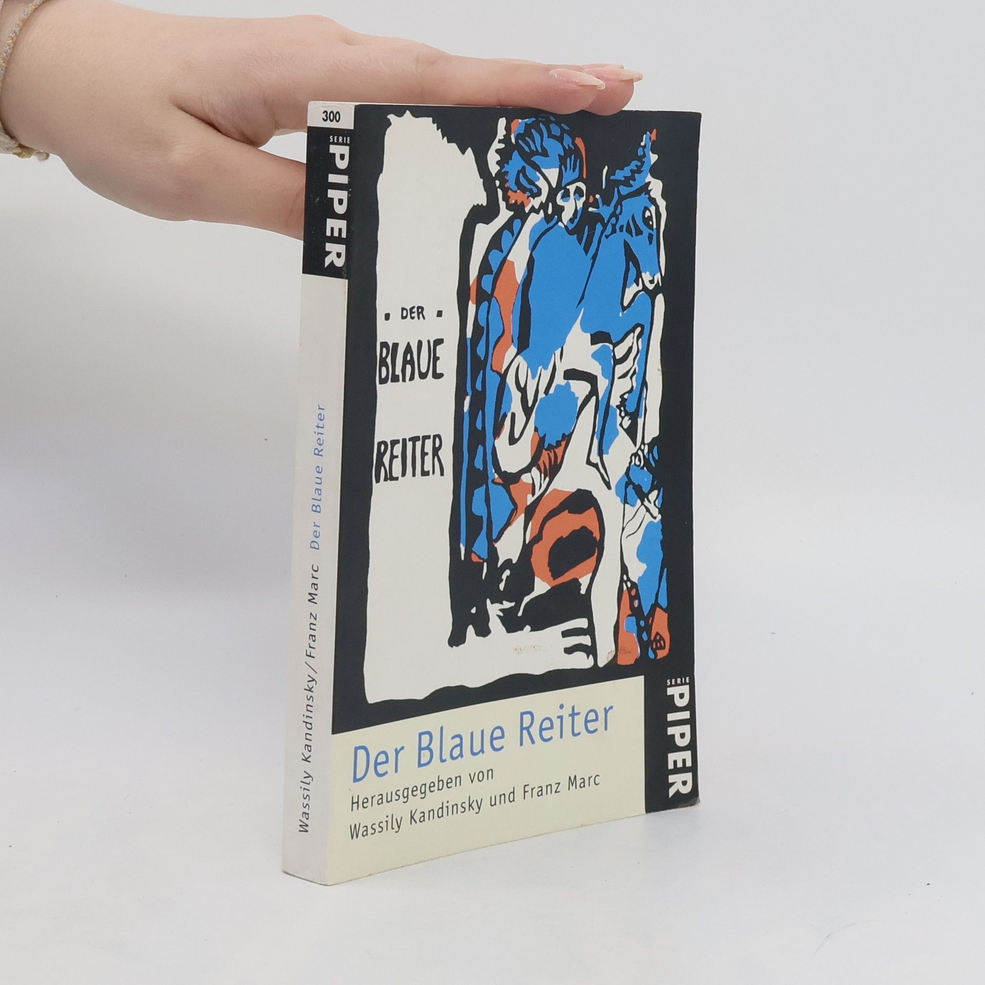 Vasilij Kandinskij Der Blaue Reiter