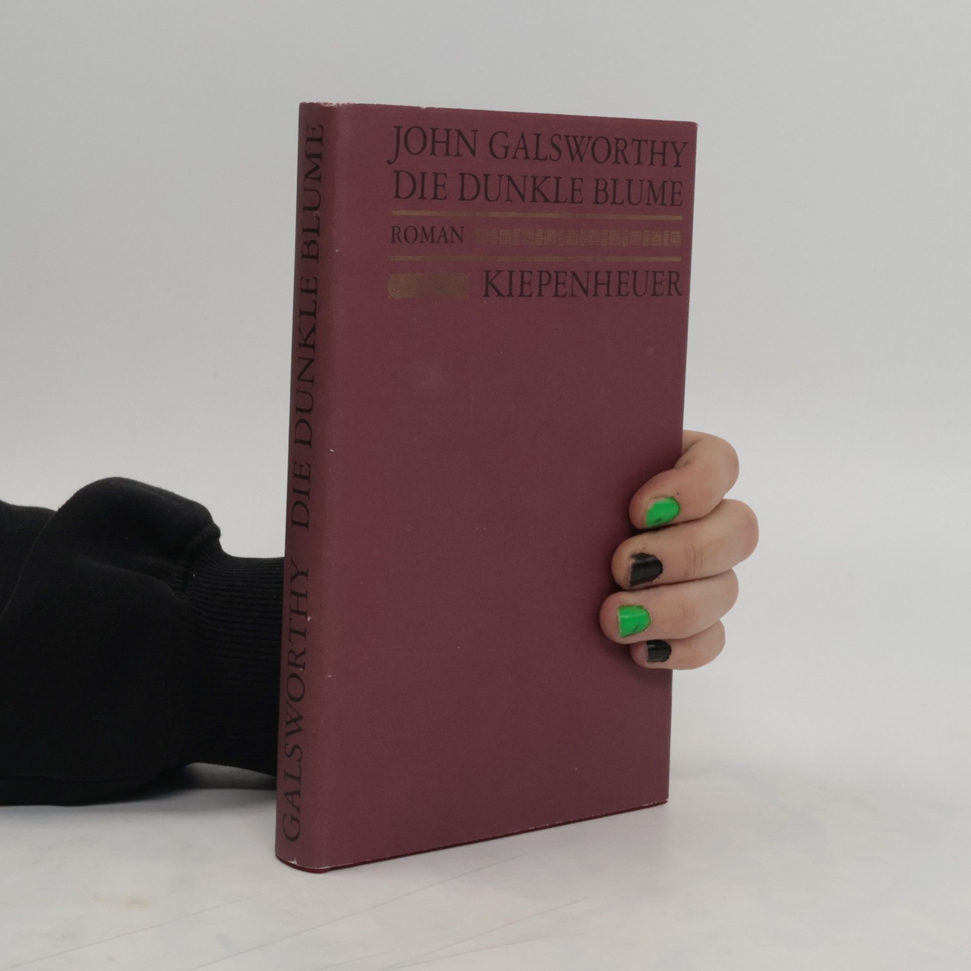 John Galsworthy Die dunkle Blume