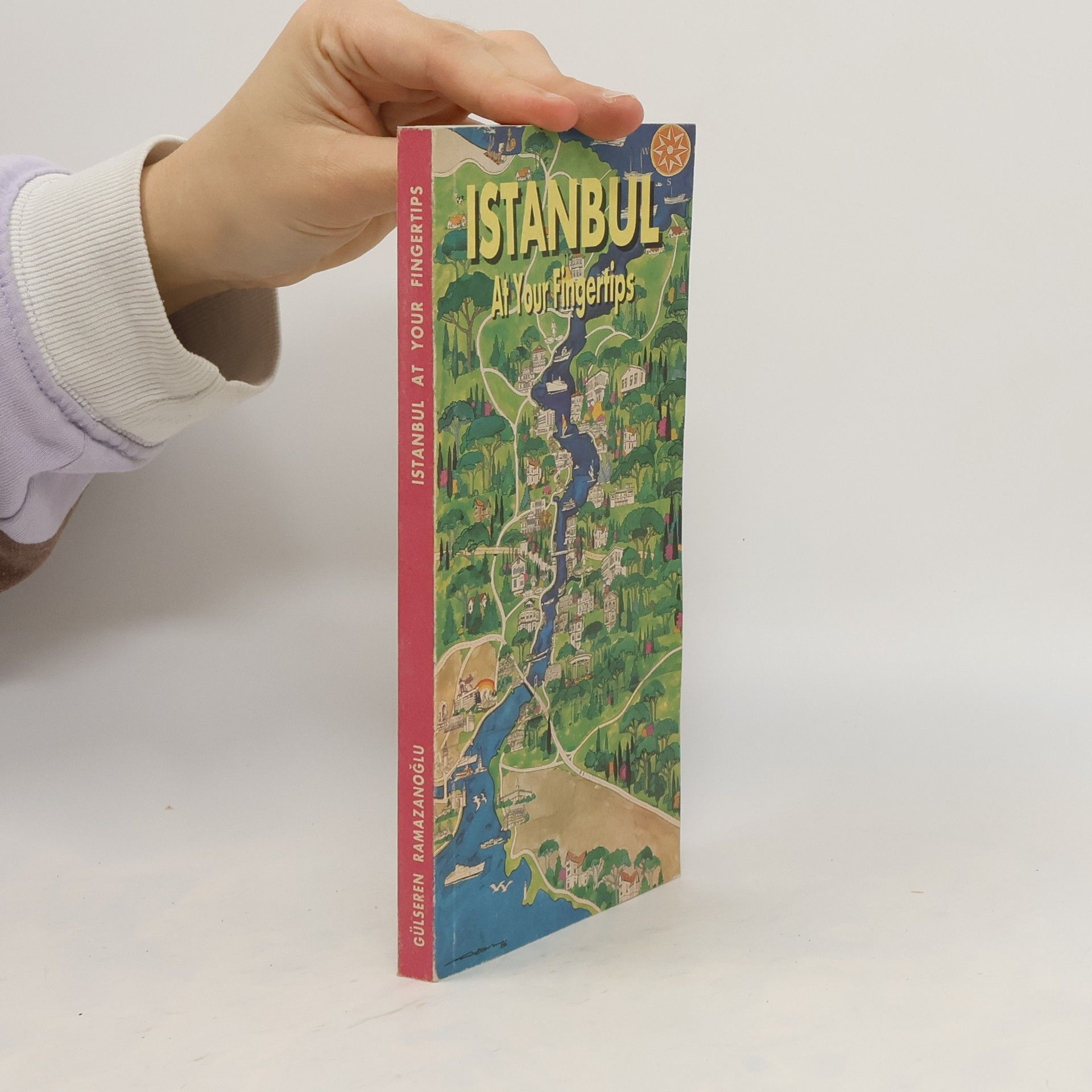 Gülseren Ramazanoğlu Istanbul At Your Fingertips