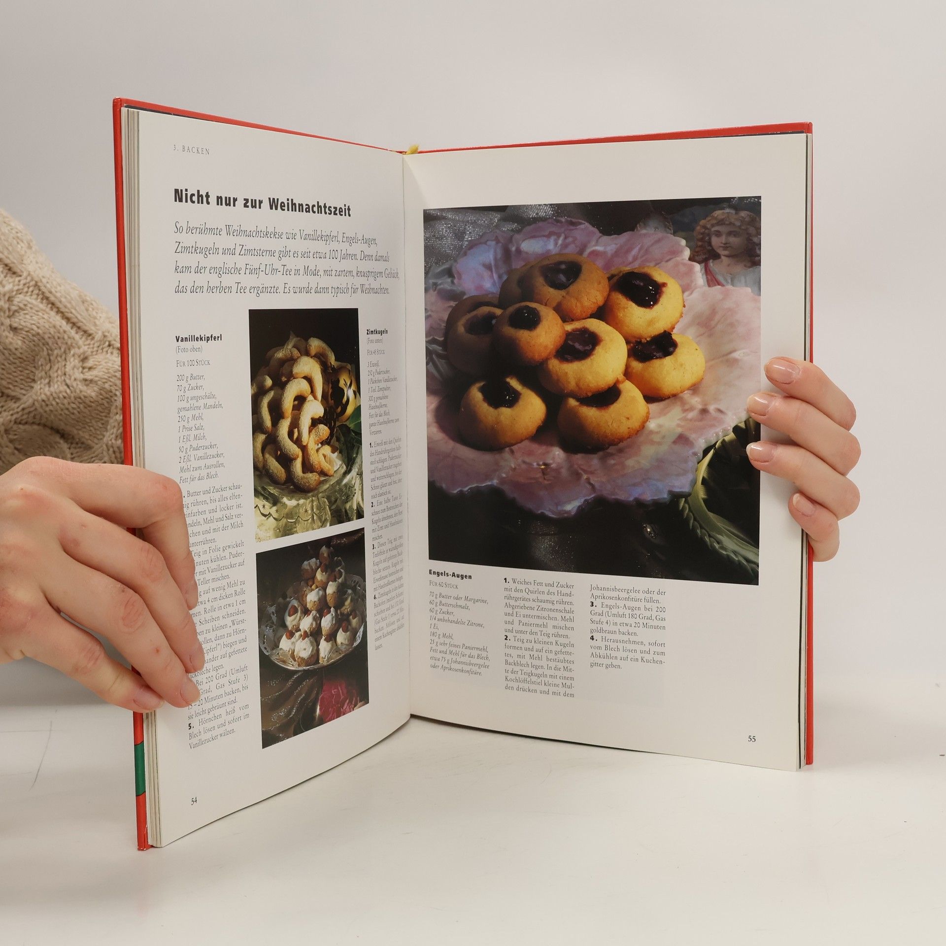 Barbara Rias-Bucher Brigitte, Das große Weihnachtsbuch