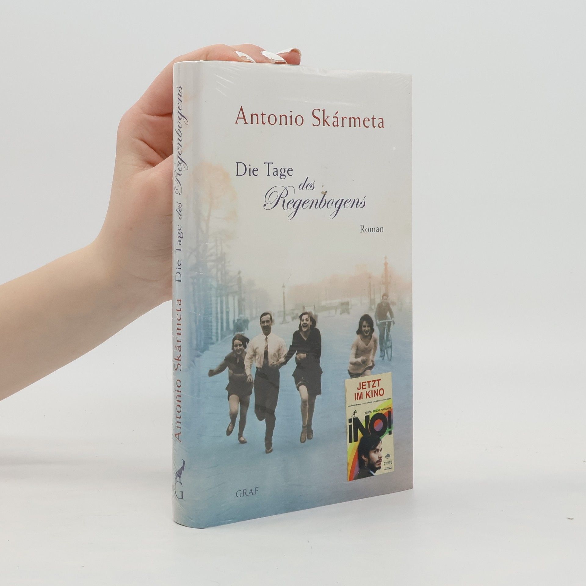 Antonio Skármeta Die Tage des Regenbogens