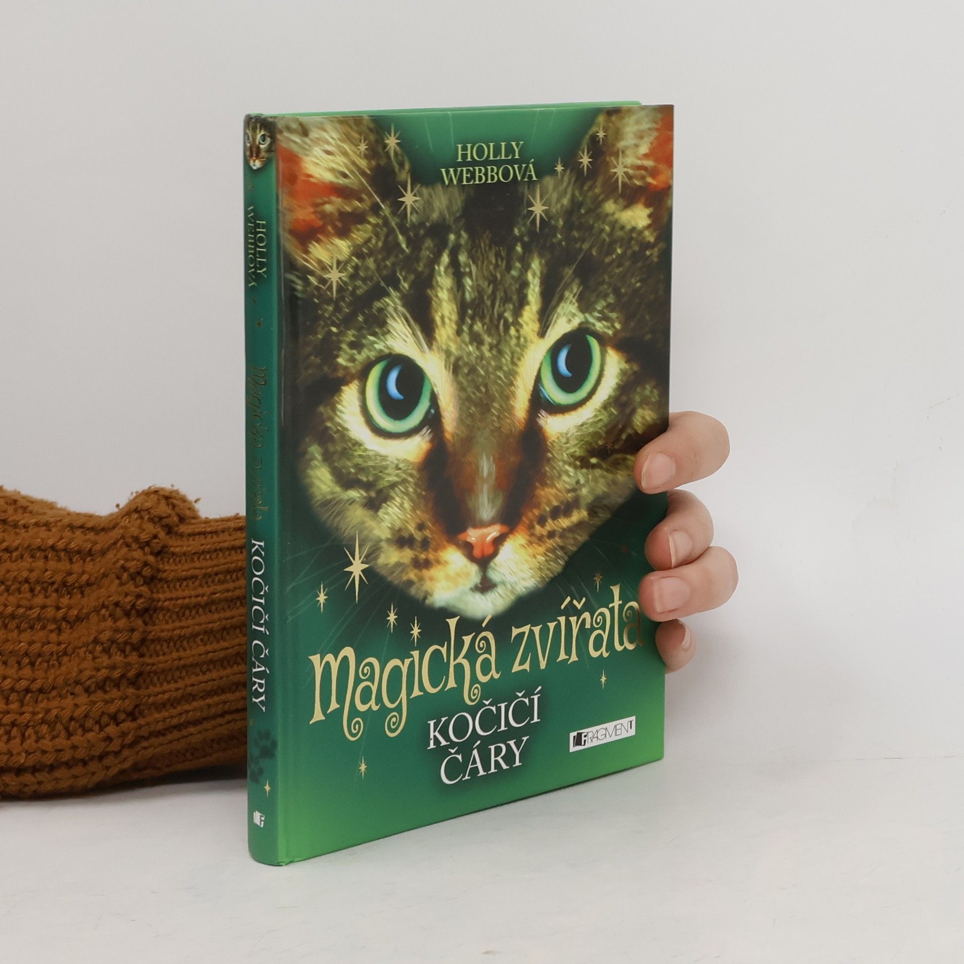 Holly Webb Magická zvířata. Kočičí čáry