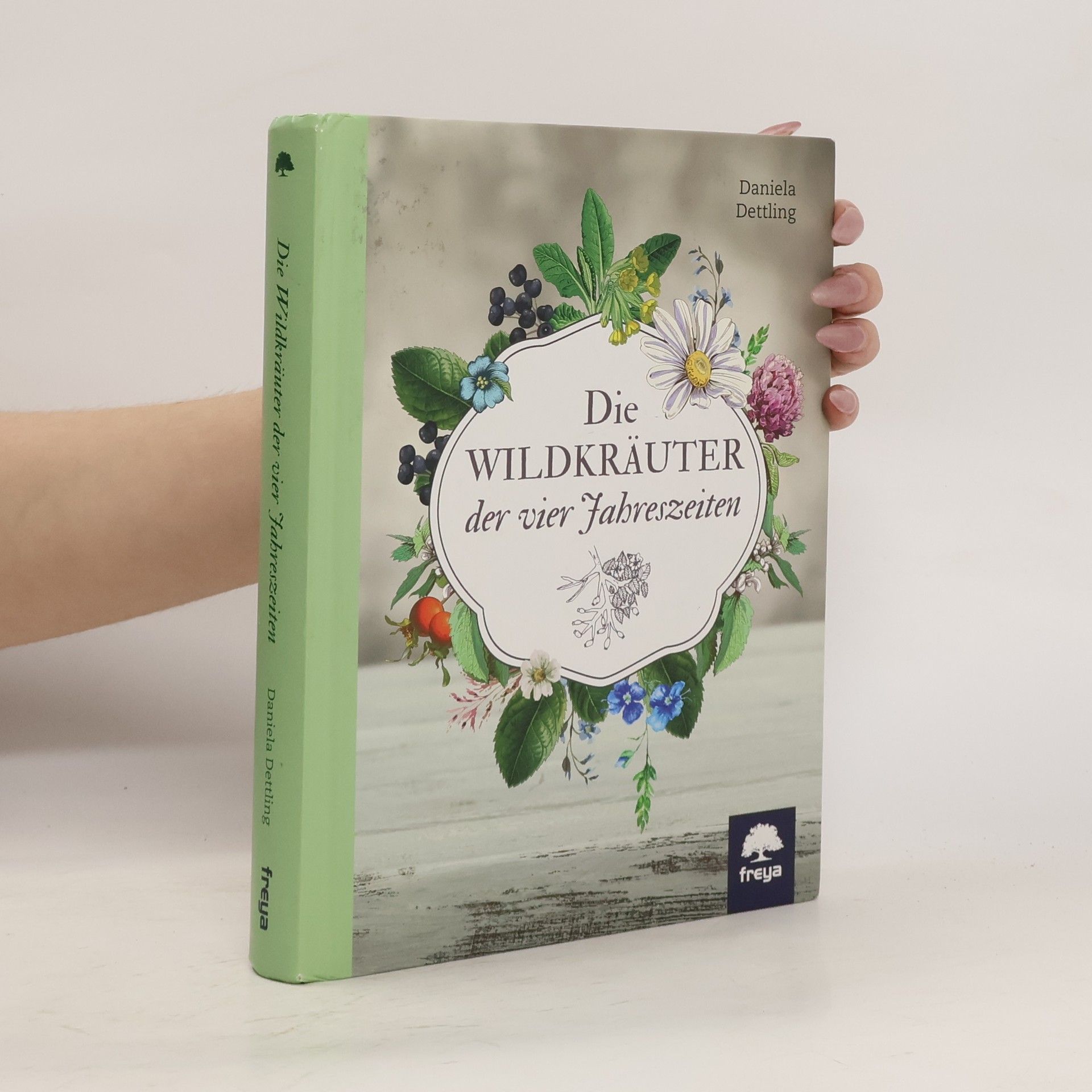 Daniela Dettling Die Wildkräuter der vier Jahreszeiten