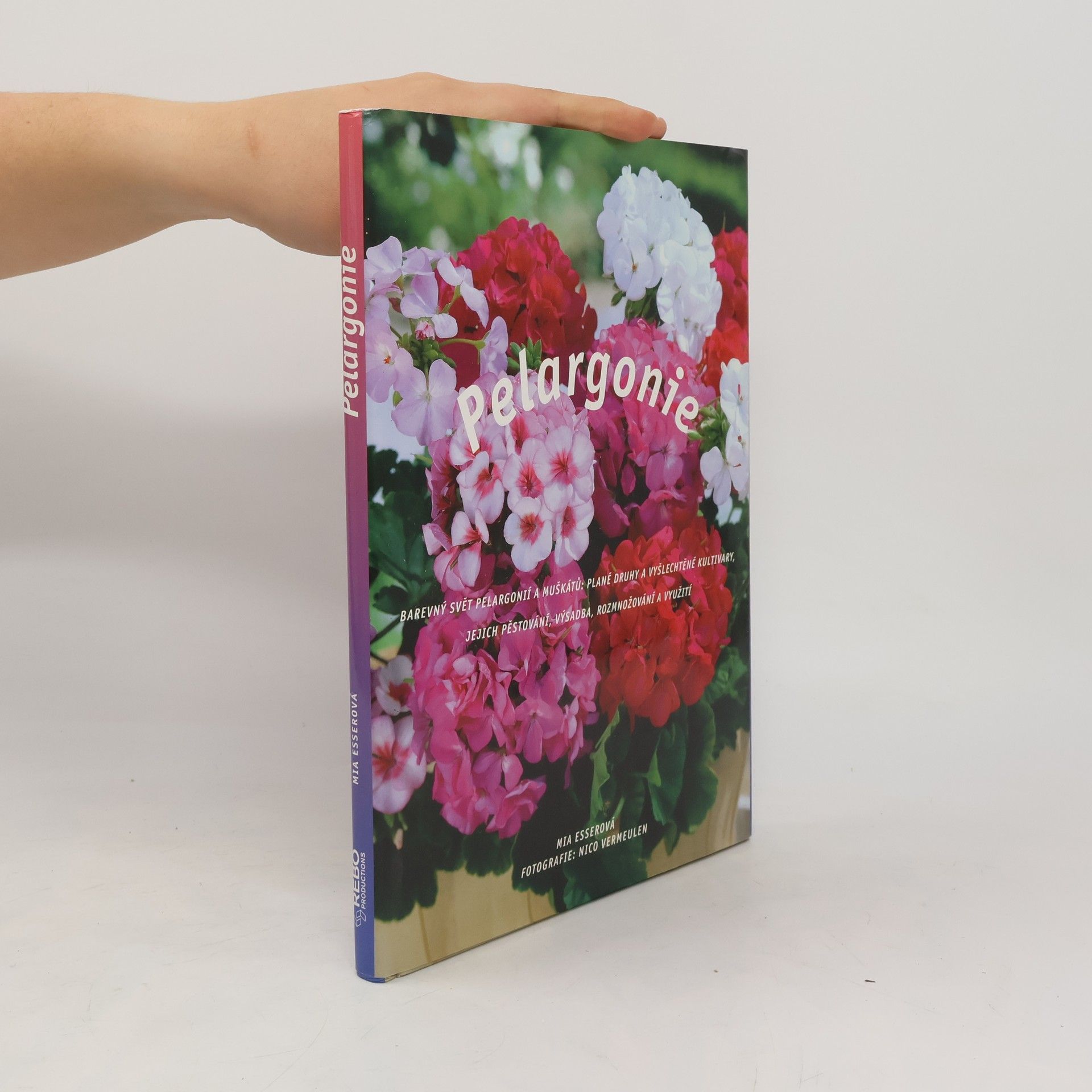 Mia Esser Pelargonie