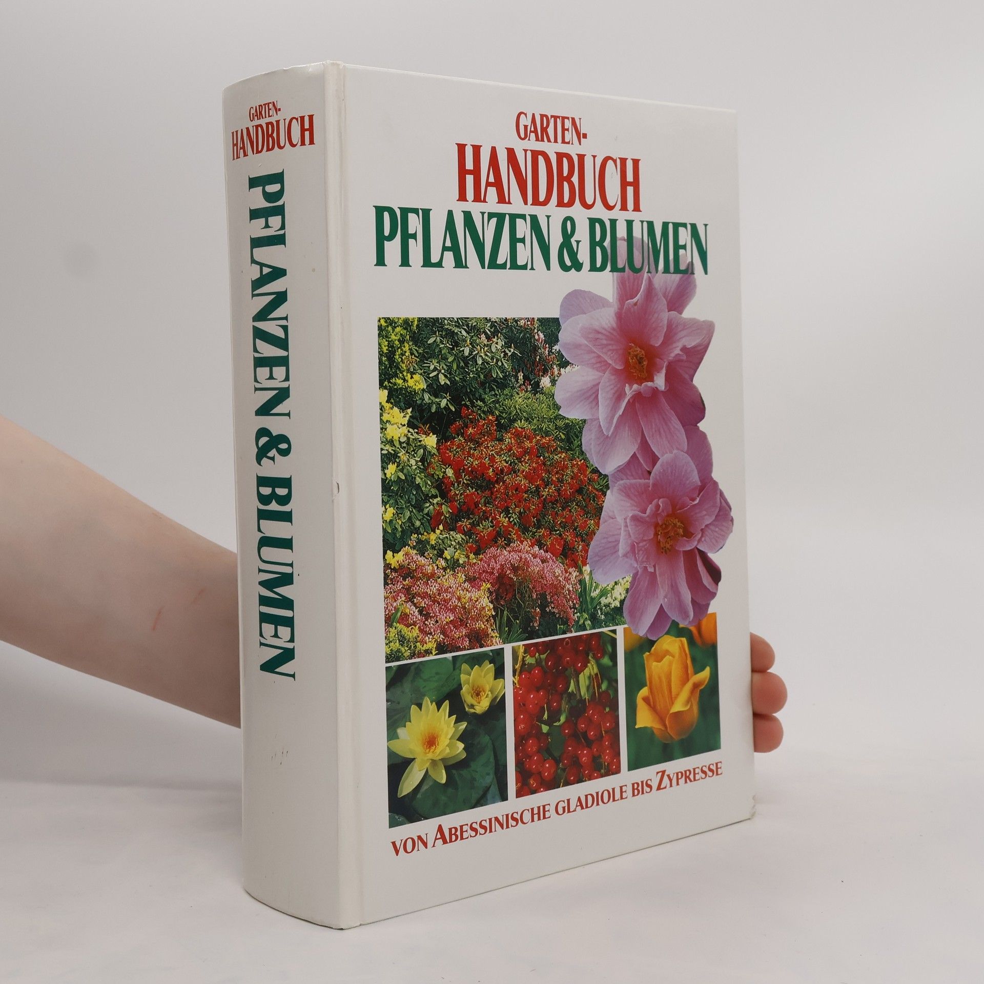 Autorenkollektiv Garten-Handbuch Pflanzen & Blumen