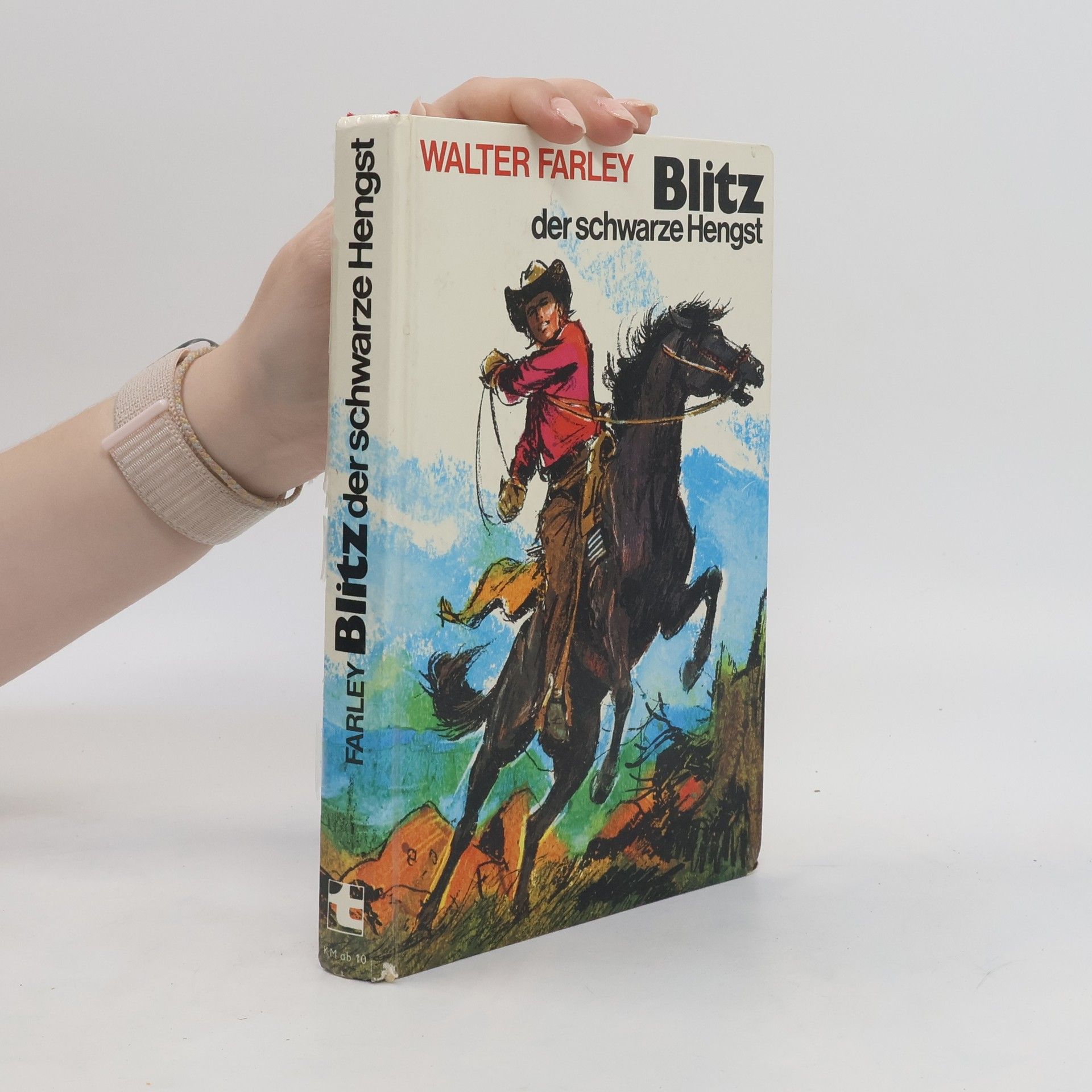 Walter Farley Blitz der schwarze Hengst