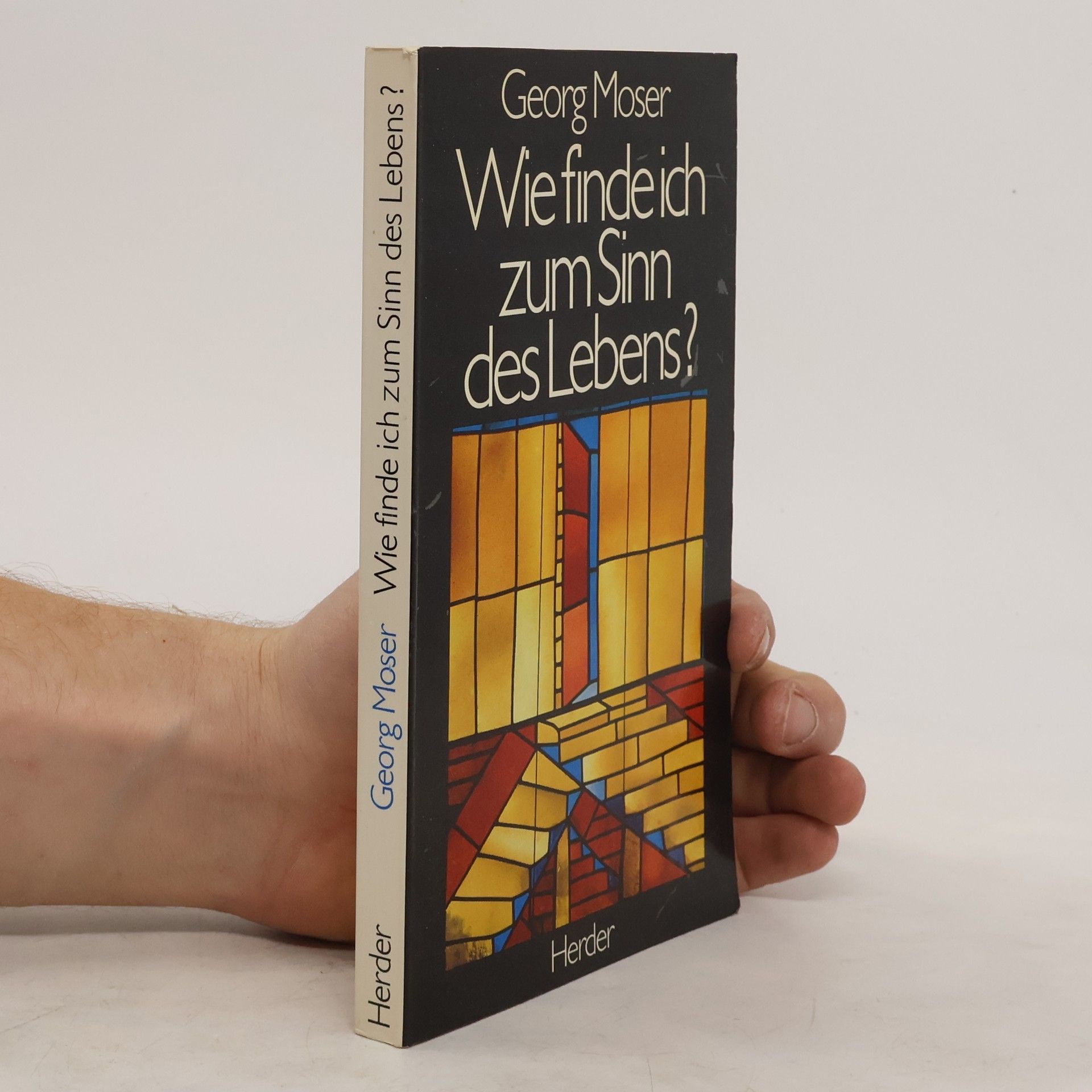 Georg Moser Wie finde ich zum Sinn des Lebens?