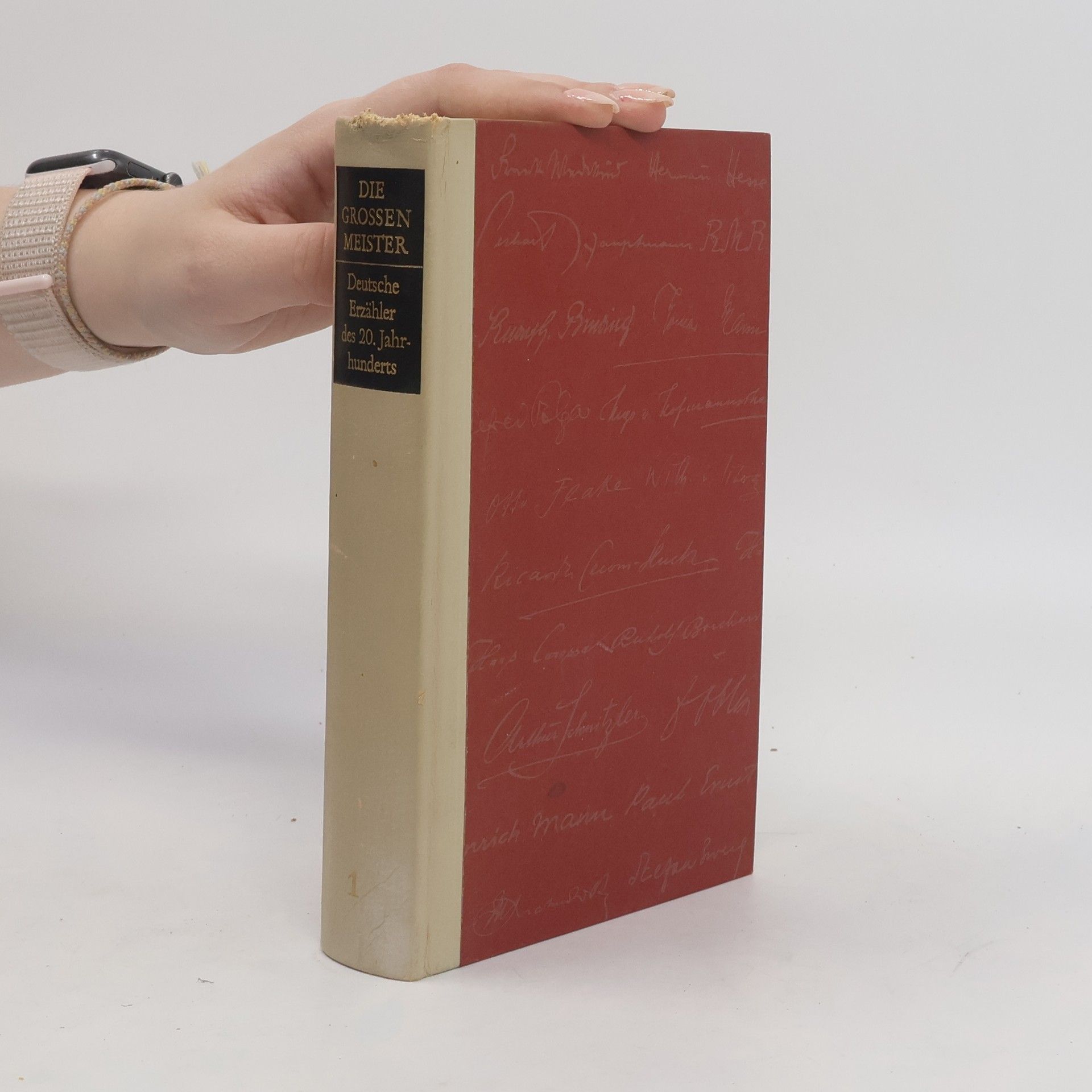 Autores varios Die Grosse Meister 1