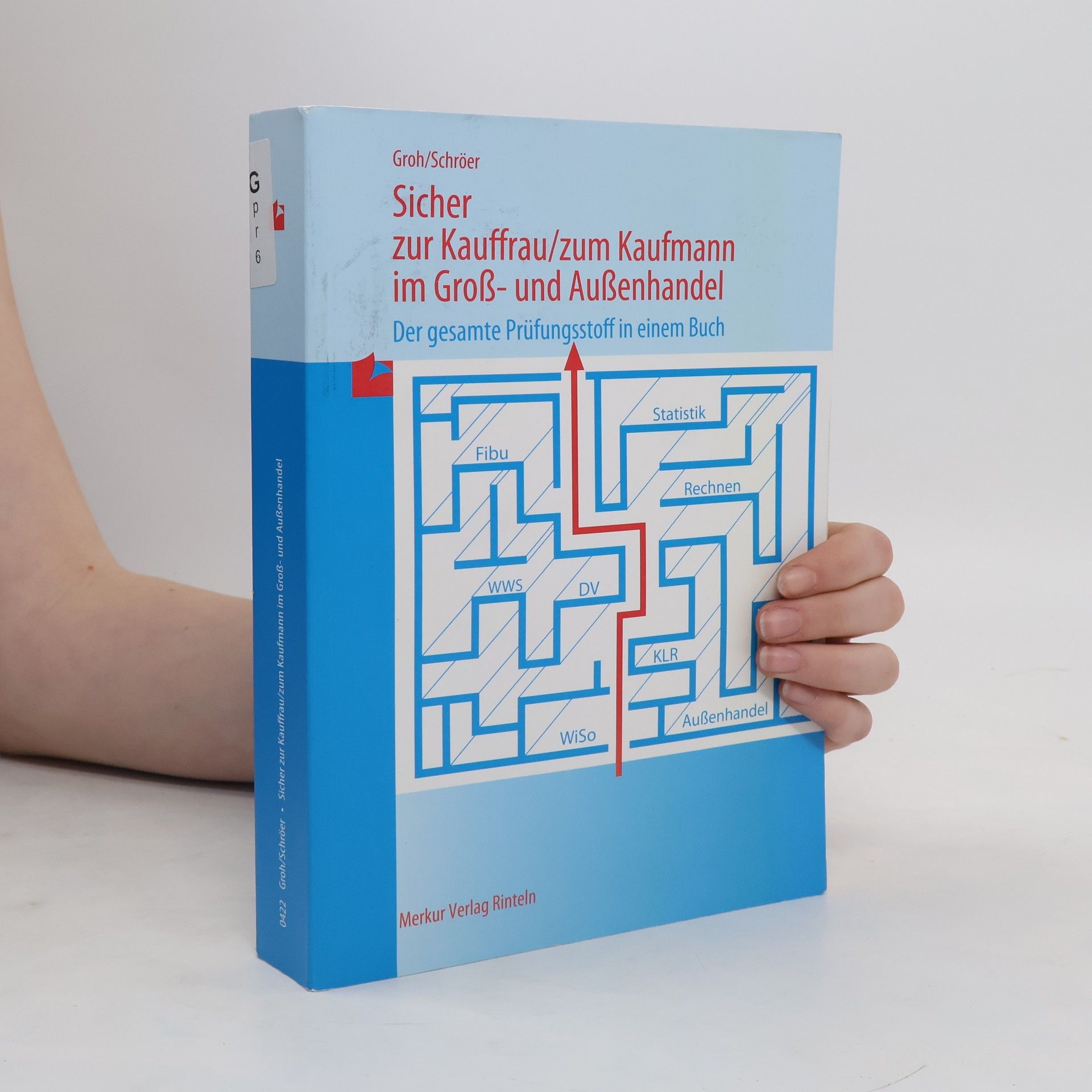 Gisbert Groh Sicher zur Kauffrau, zum Kaufmann im Groß- und Außenhandel. Der gesamte Prüfungsstoff in einem Buch