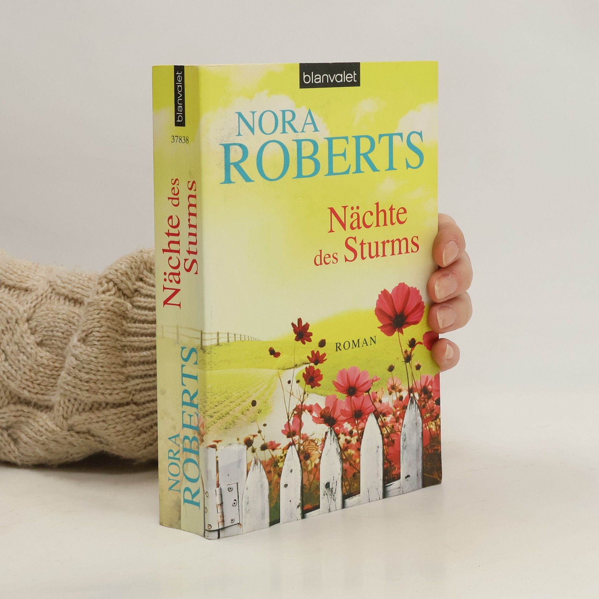 Nora Roberts Nächte des Sturms
