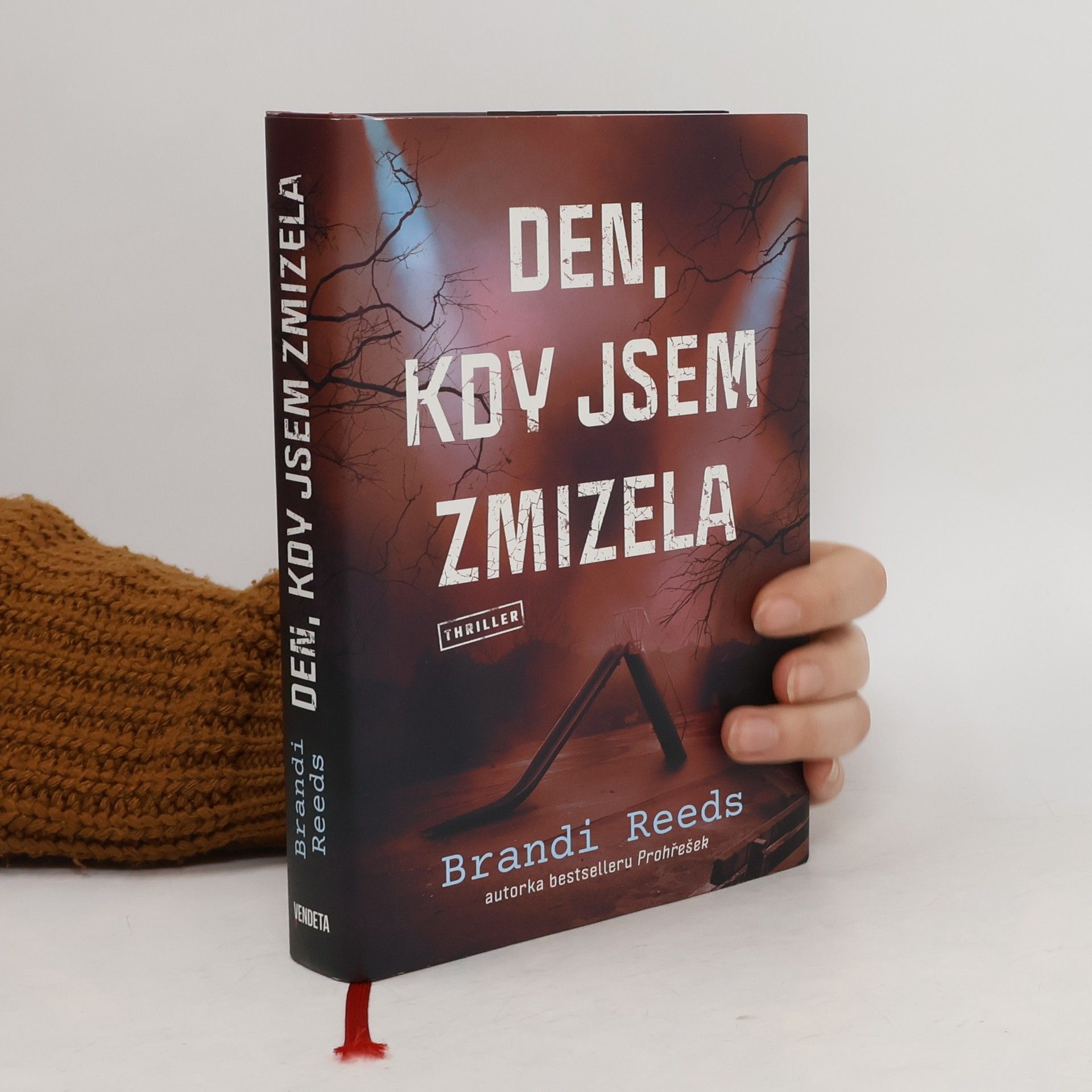 Brandi Reeds Den, kdy jsem zmizela