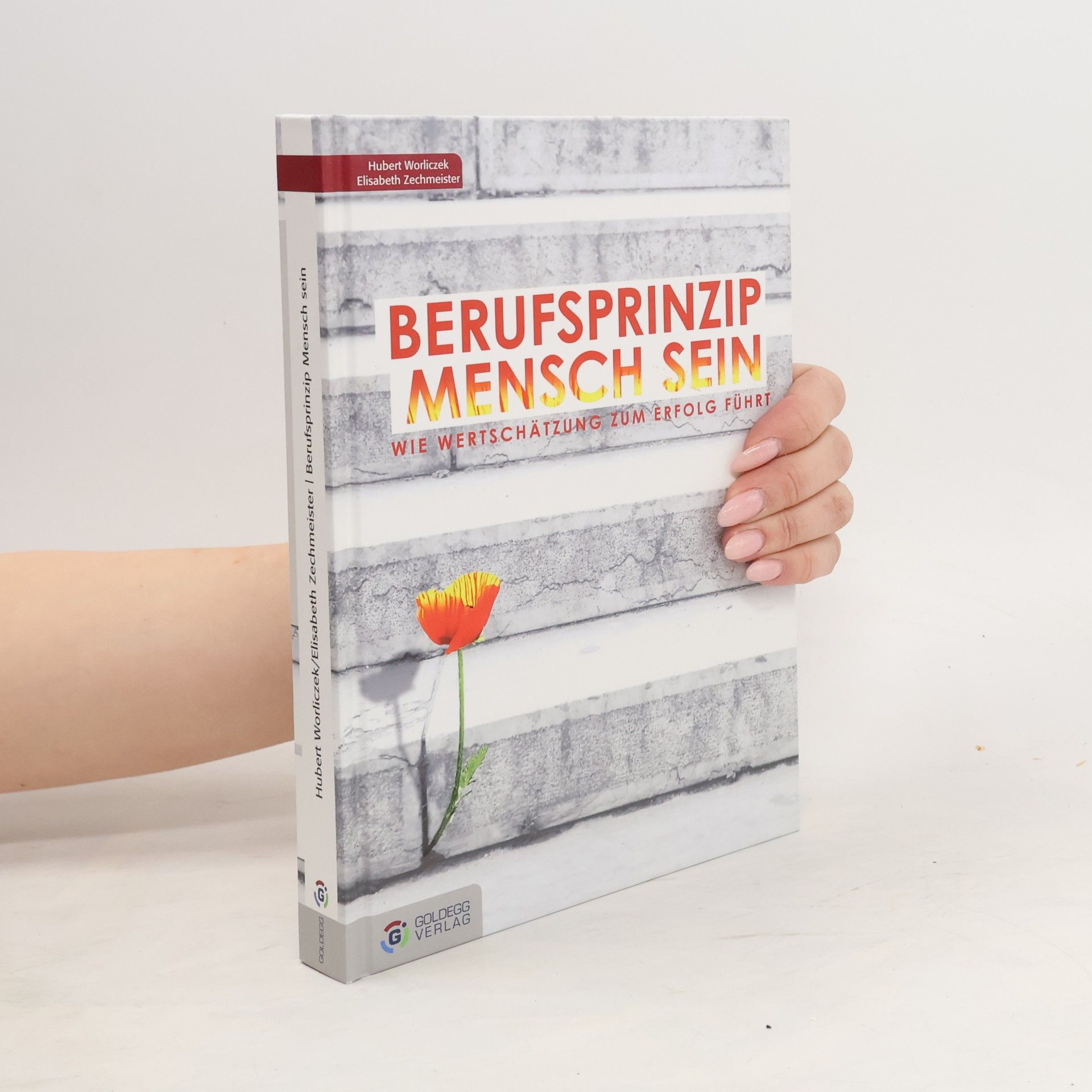 Hubert Worliczek Berufsprinzip Mensch sein
