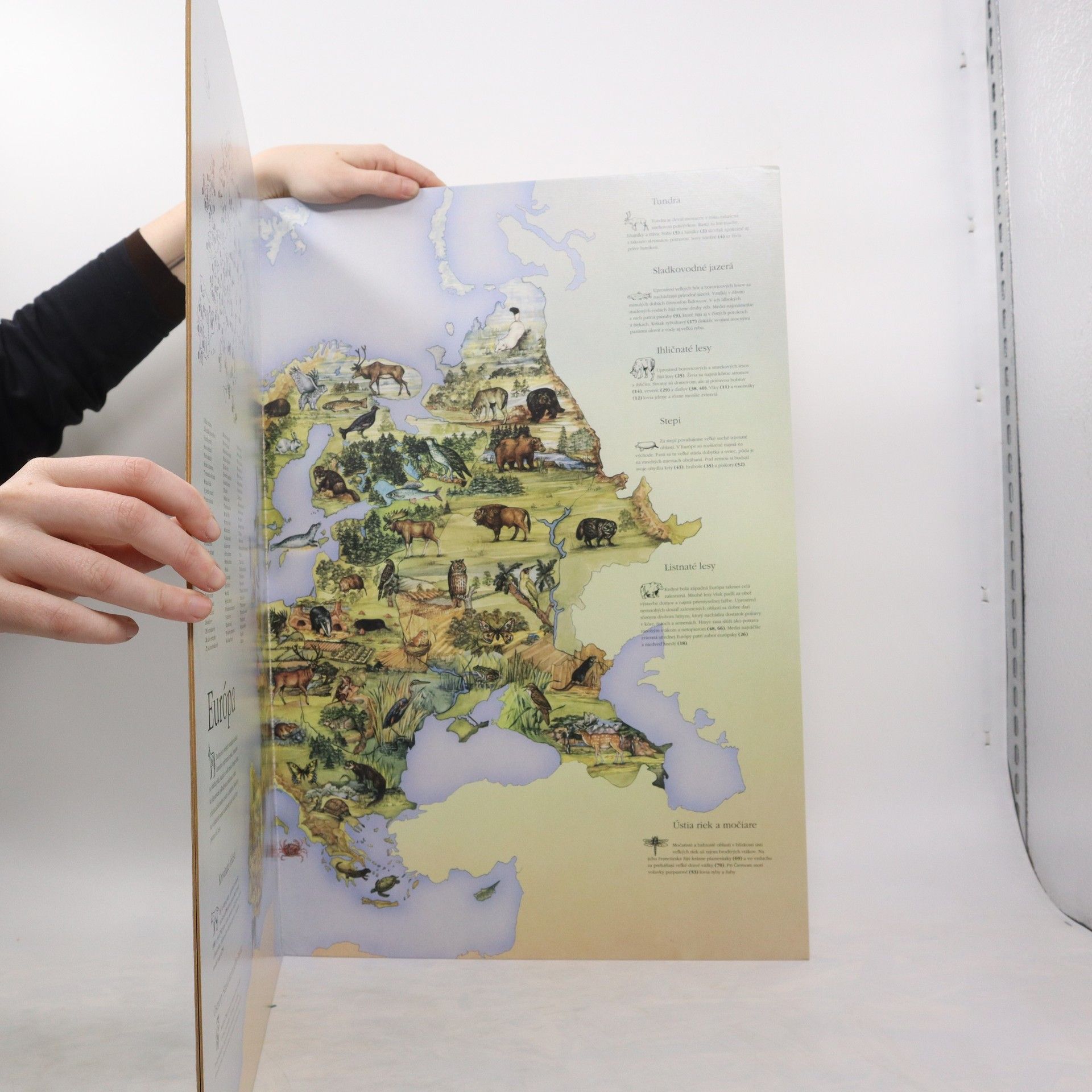 Gillian Standring Veľký atlas zvierat