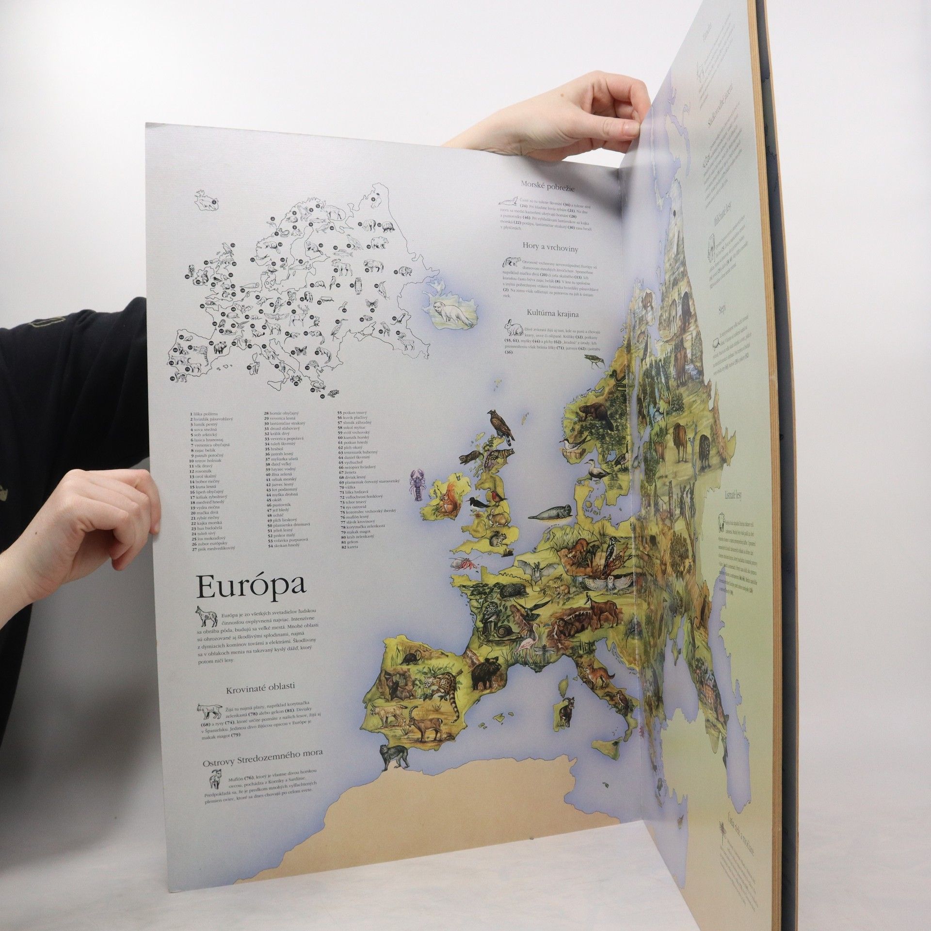 Gillian Standring Veľký atlas zvierat