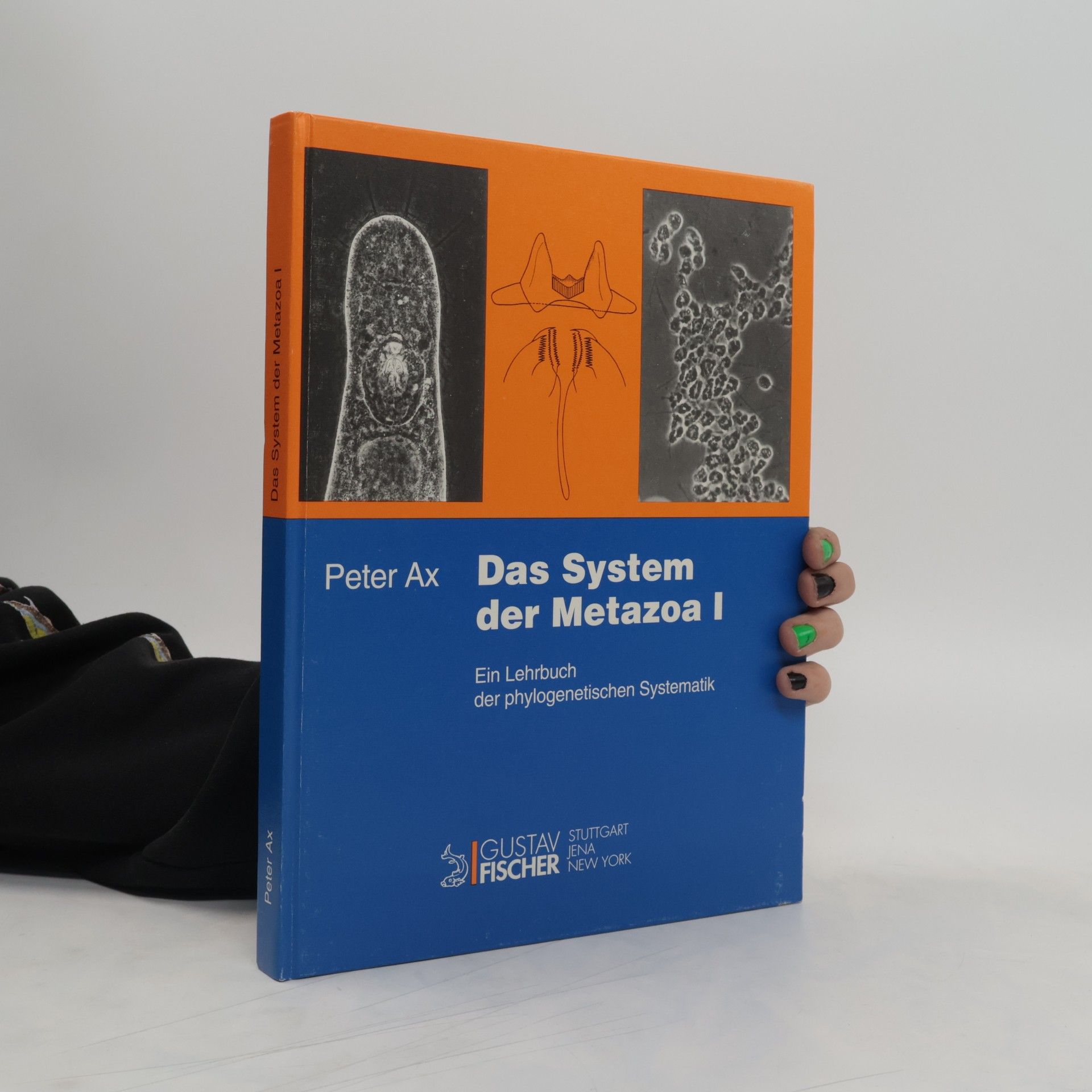 Peter Ax Das System der Metazoa
