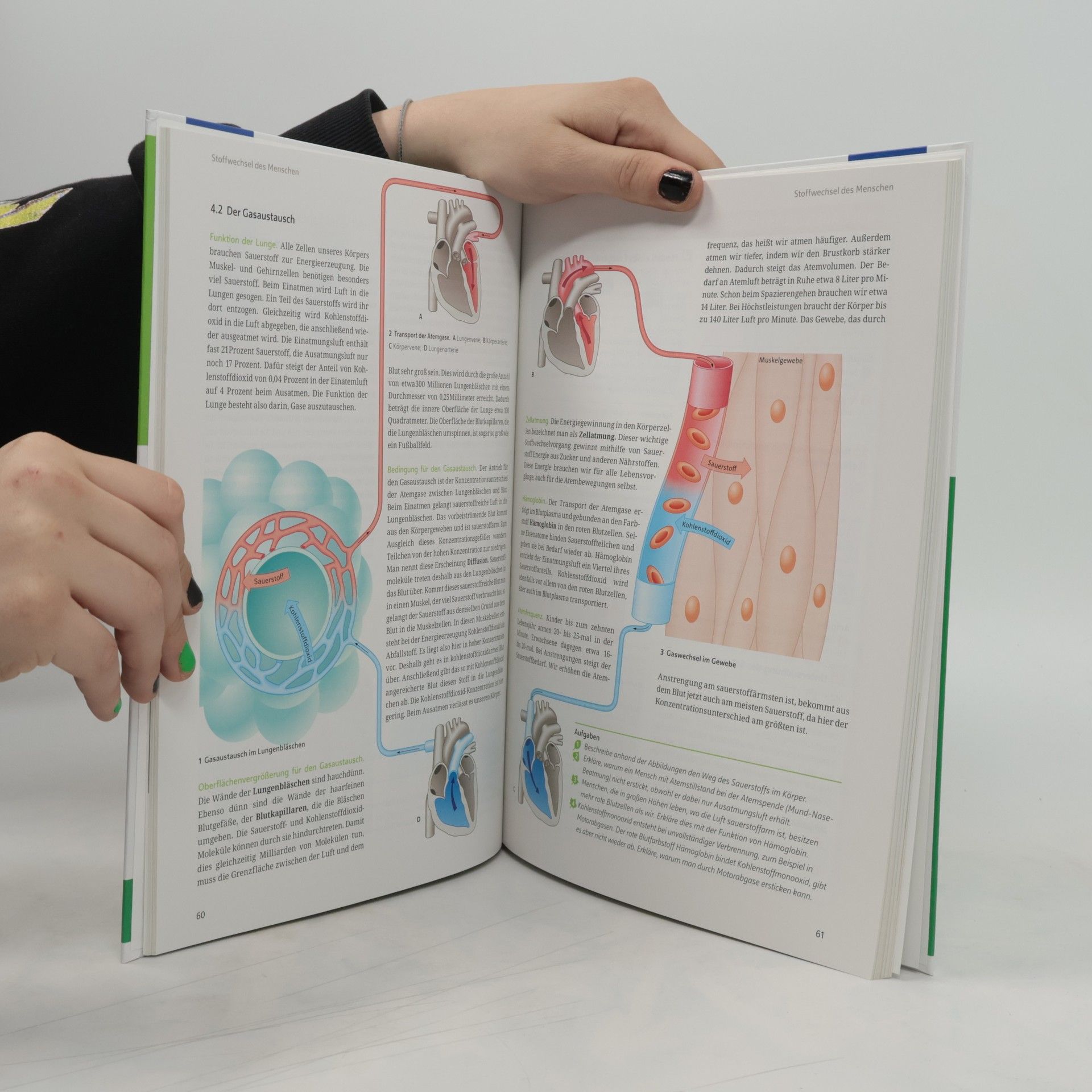 Linder Biologie