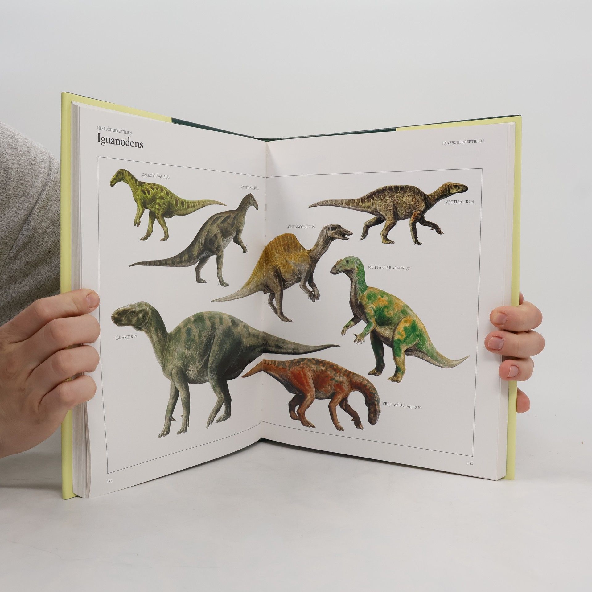 Christopher Barry Cox Dinosaurier und andere Tiere der Vorzeit