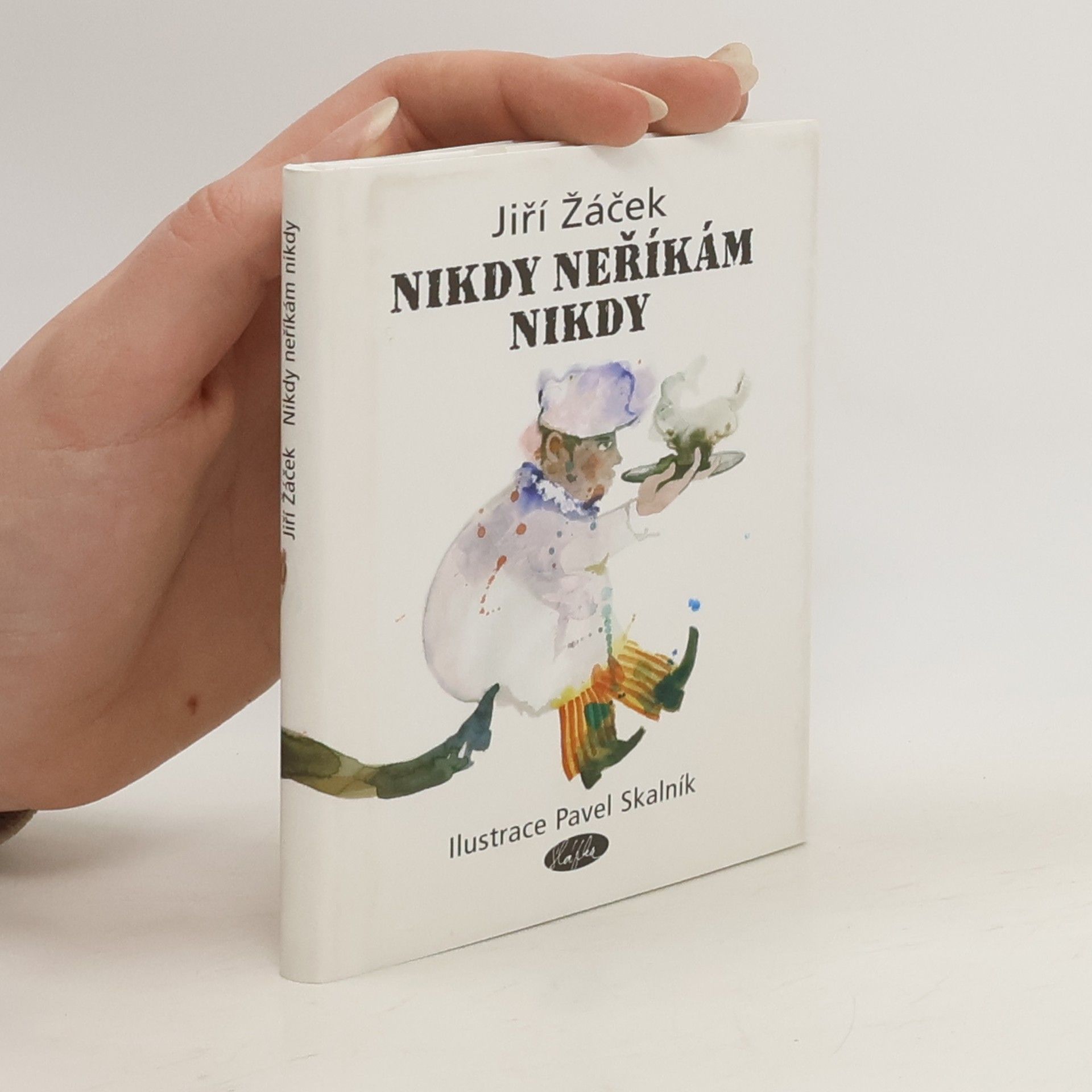 Jiří Žáček Nikdy neříkám nikdy